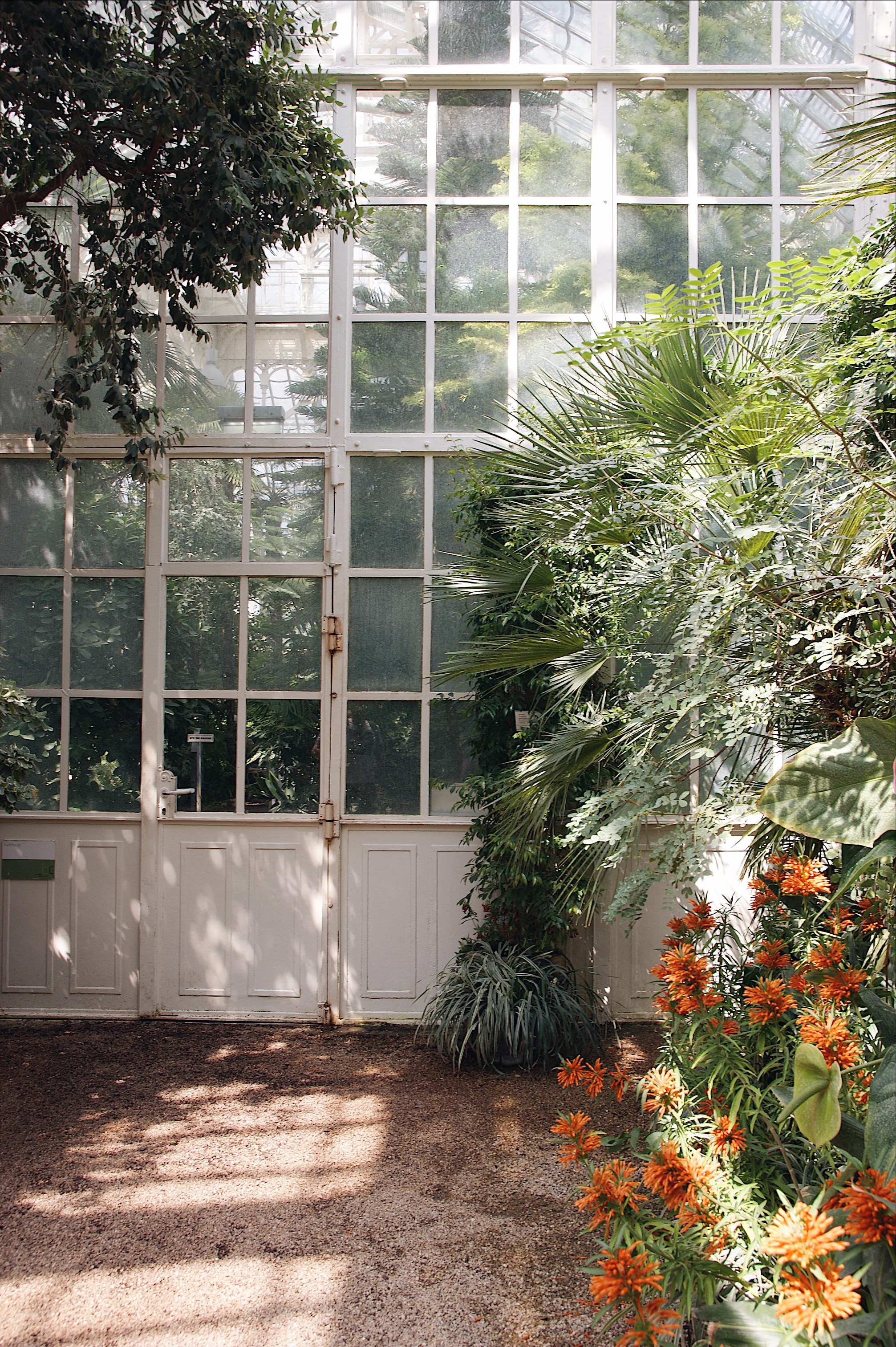 Palmenhaus Schönbrunn 