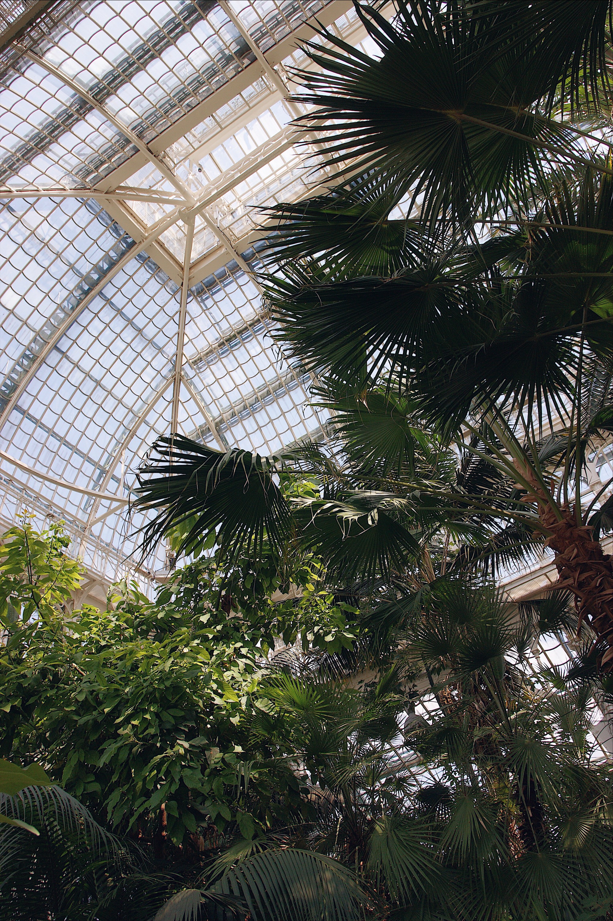 Palmenhaus Schönbrunn