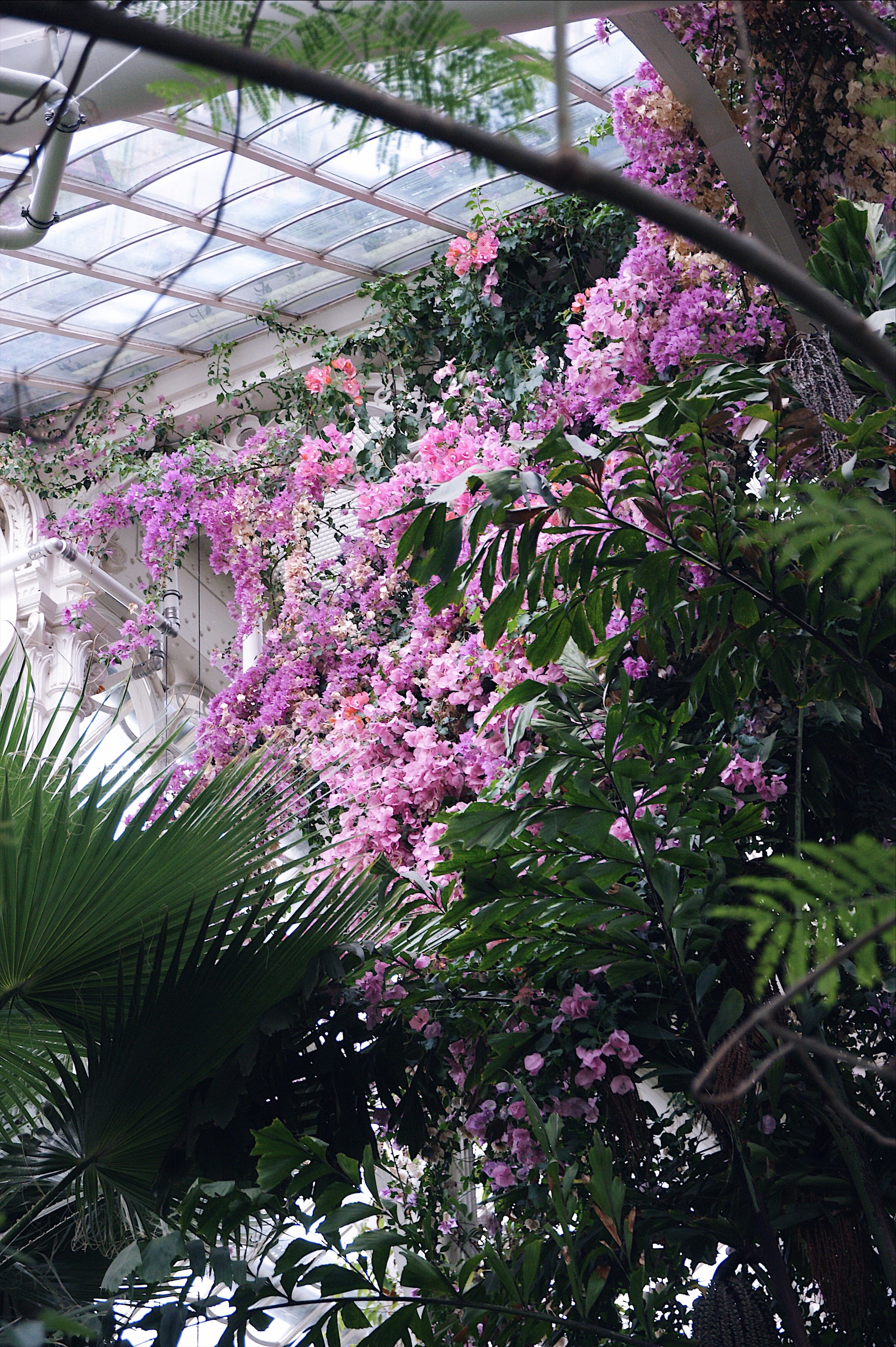 Palmenhaus Schönbrunn