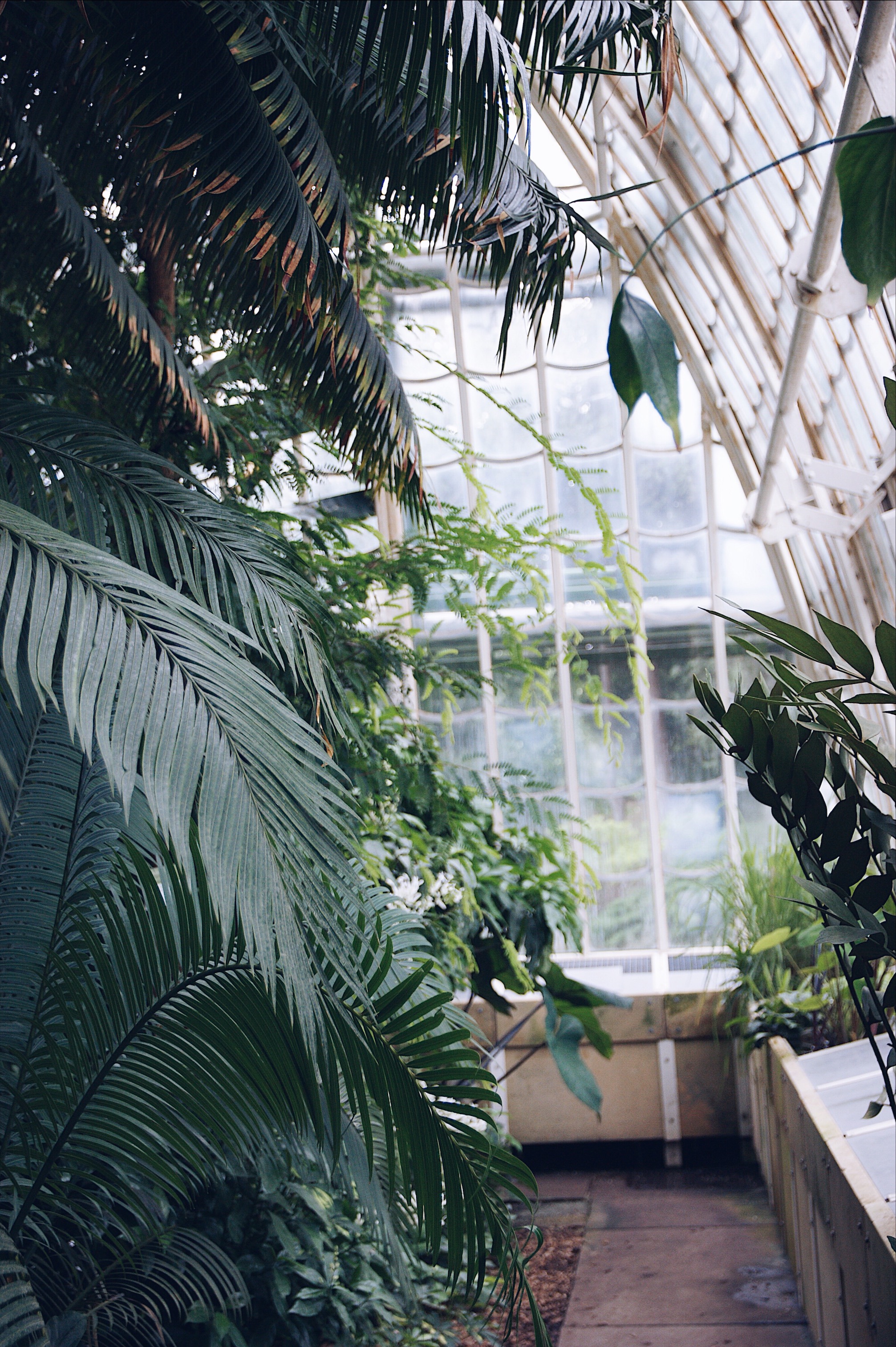 Palmenhaus Schönbrunn