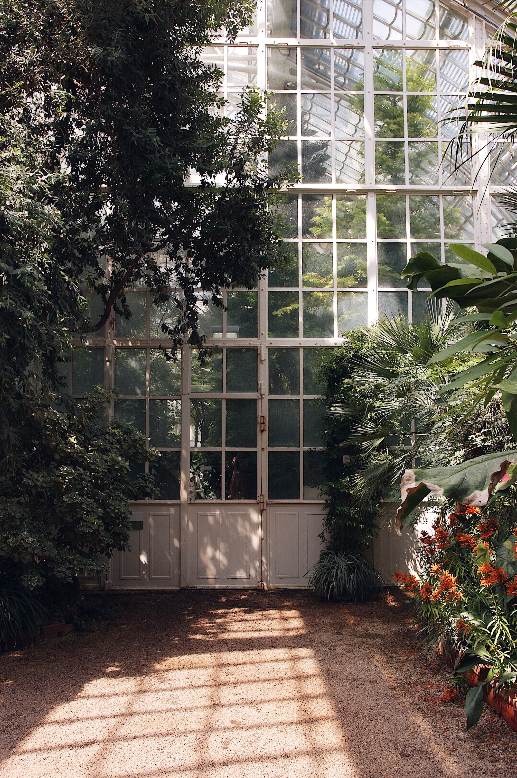 Palmenhaus Schönbrunn 