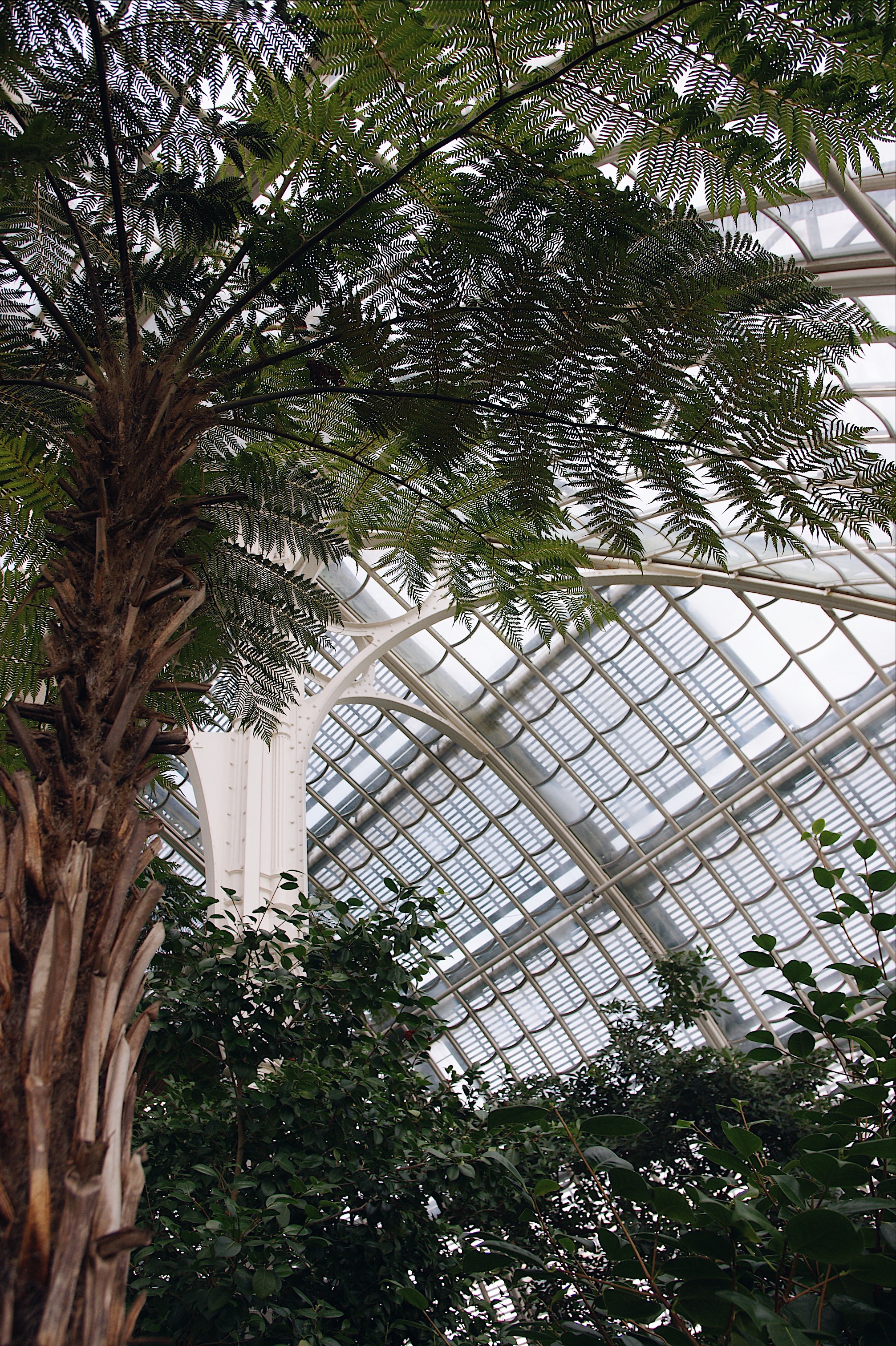 Palmenhaus Schönbrunn 