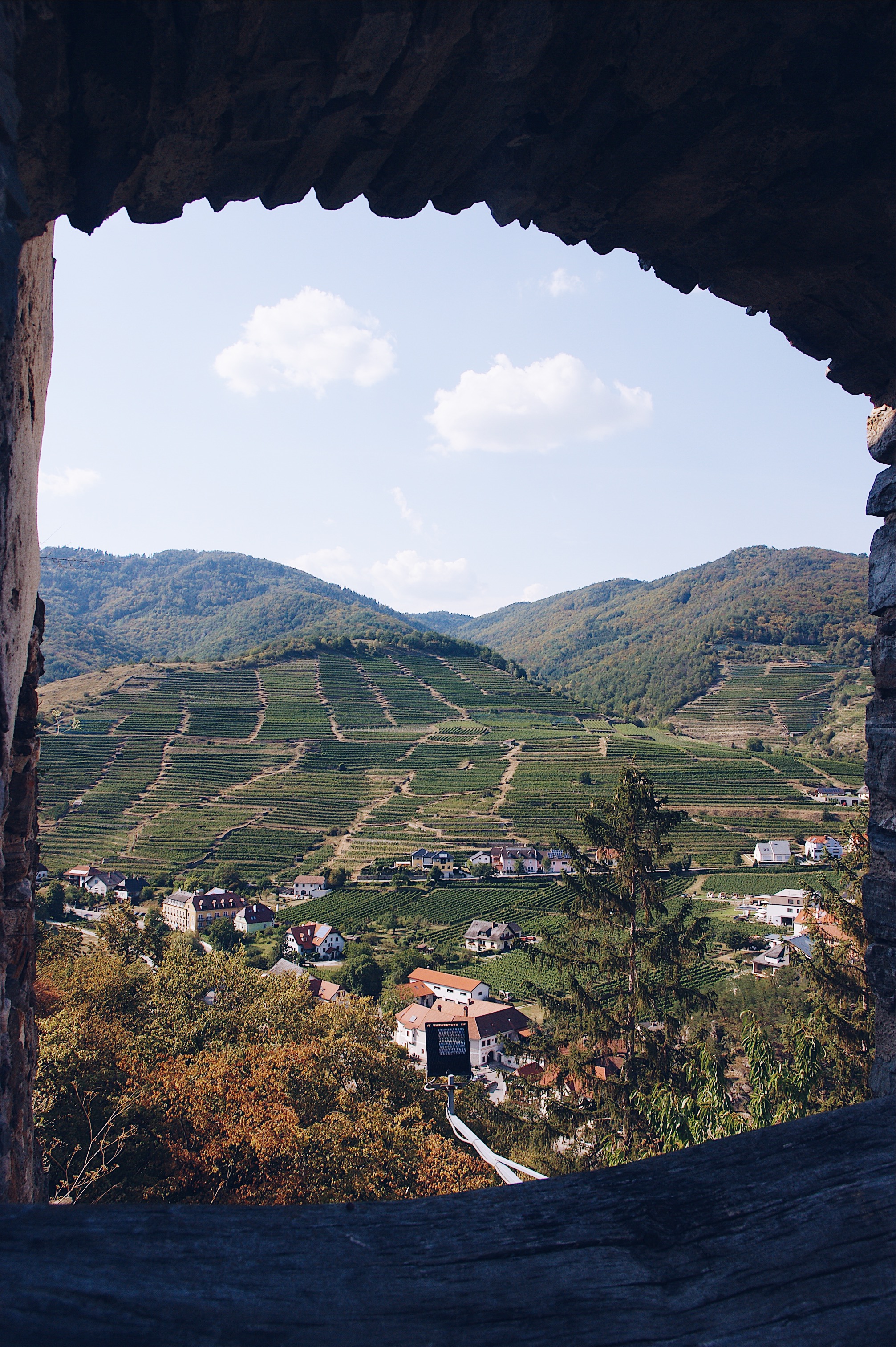 Ruine Hinterhaus in Spitz