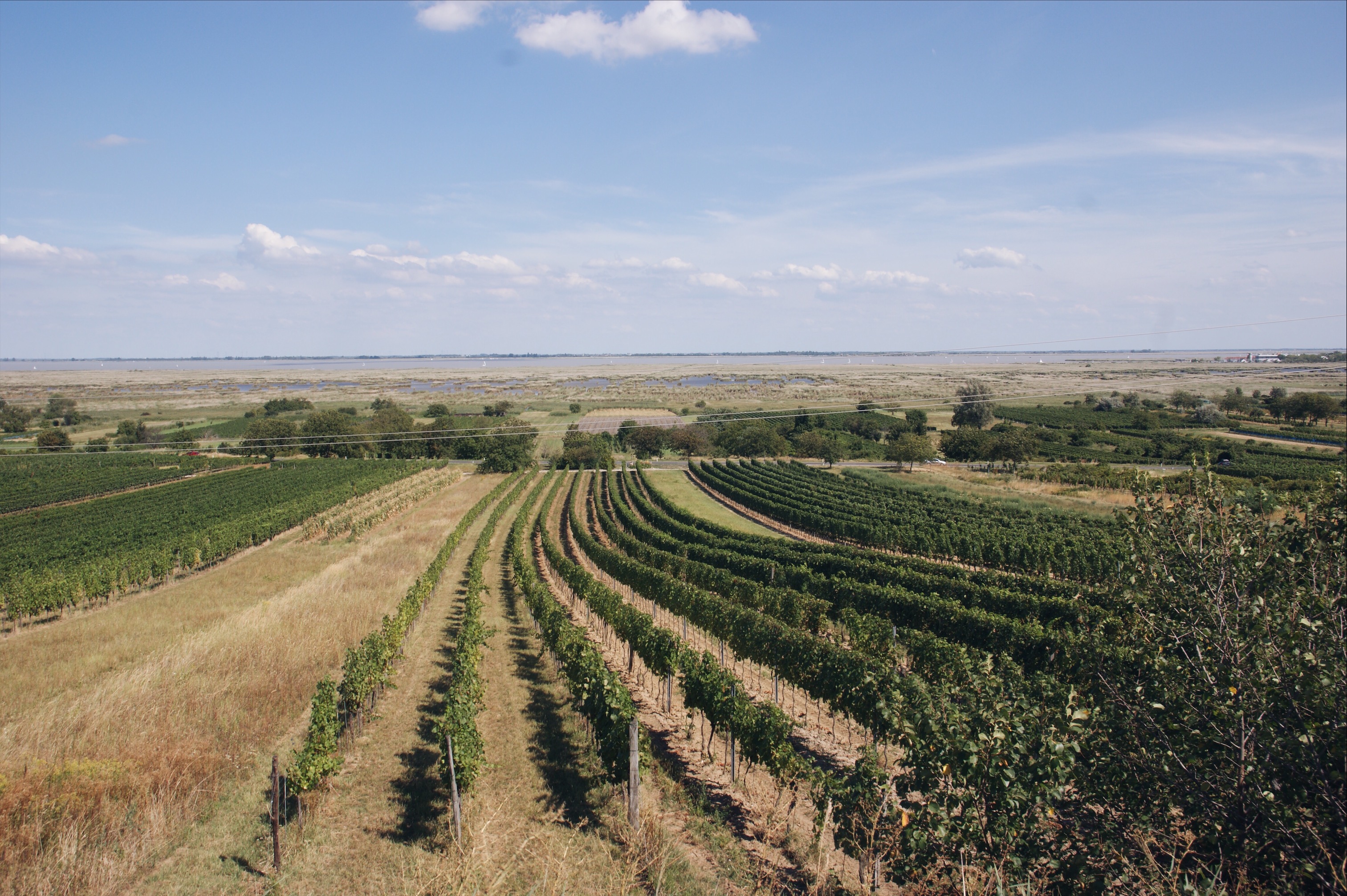 Neusiedler See Radweg