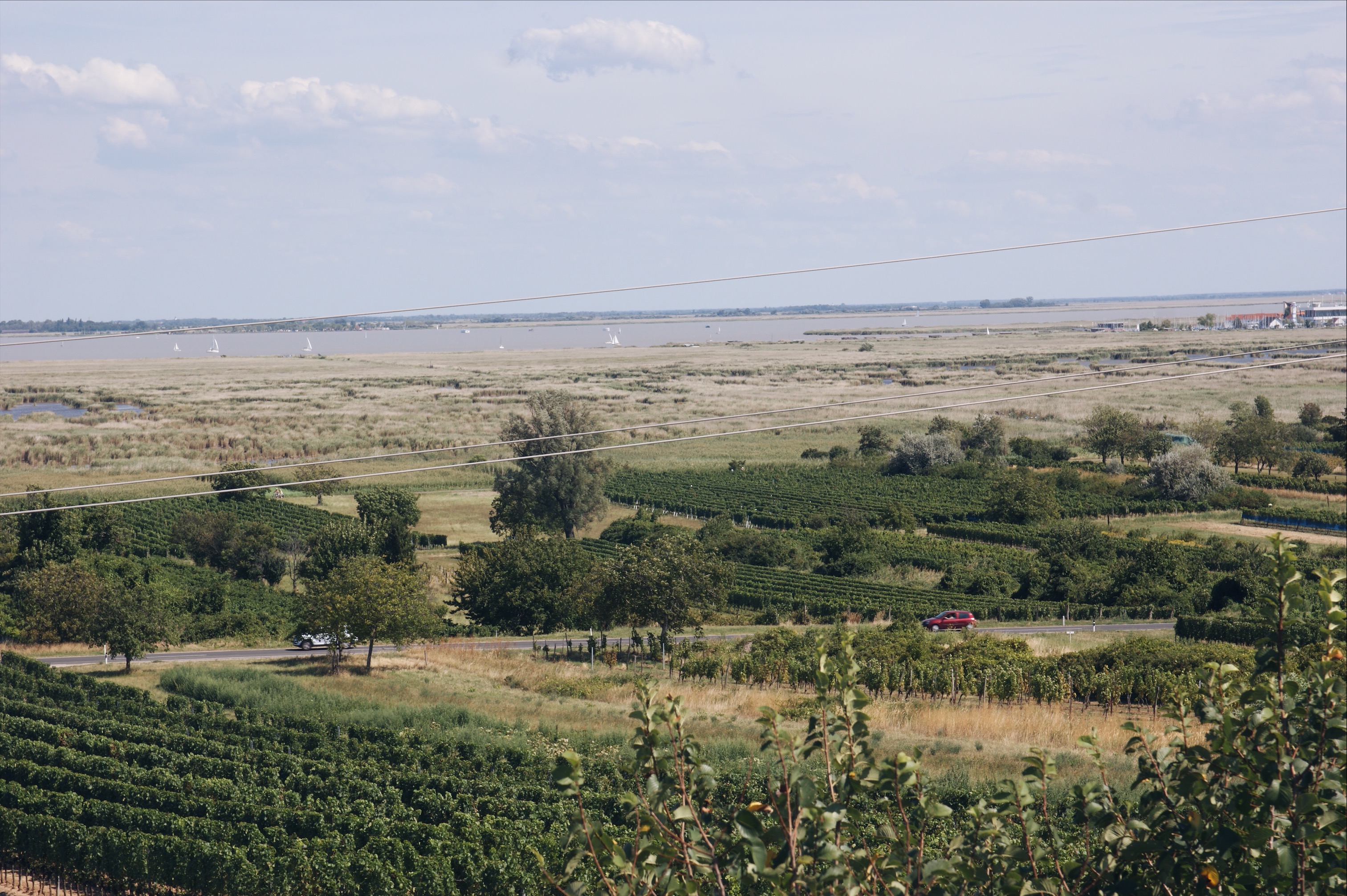 Neusiedler See Radweg