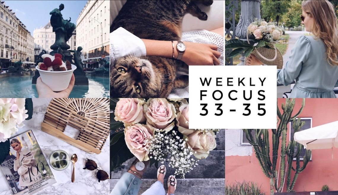 weekly focus