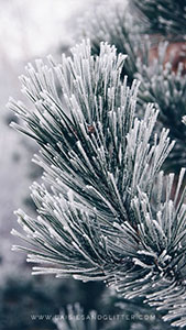 Wallpaper_daisiesandglitter_winter_2018 (1)_169x300