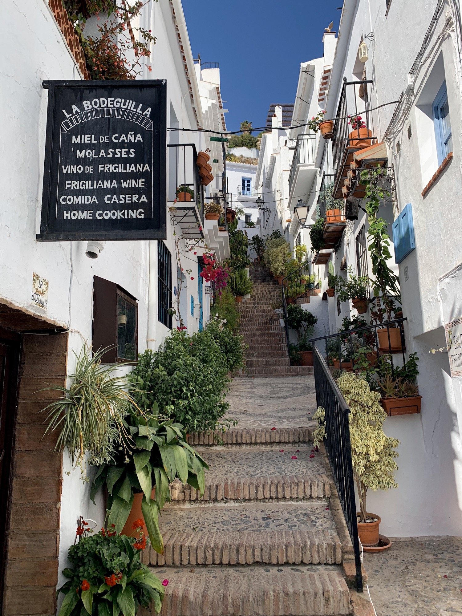 Frigiliana Reisebericht Spanien Andalusien Reise 