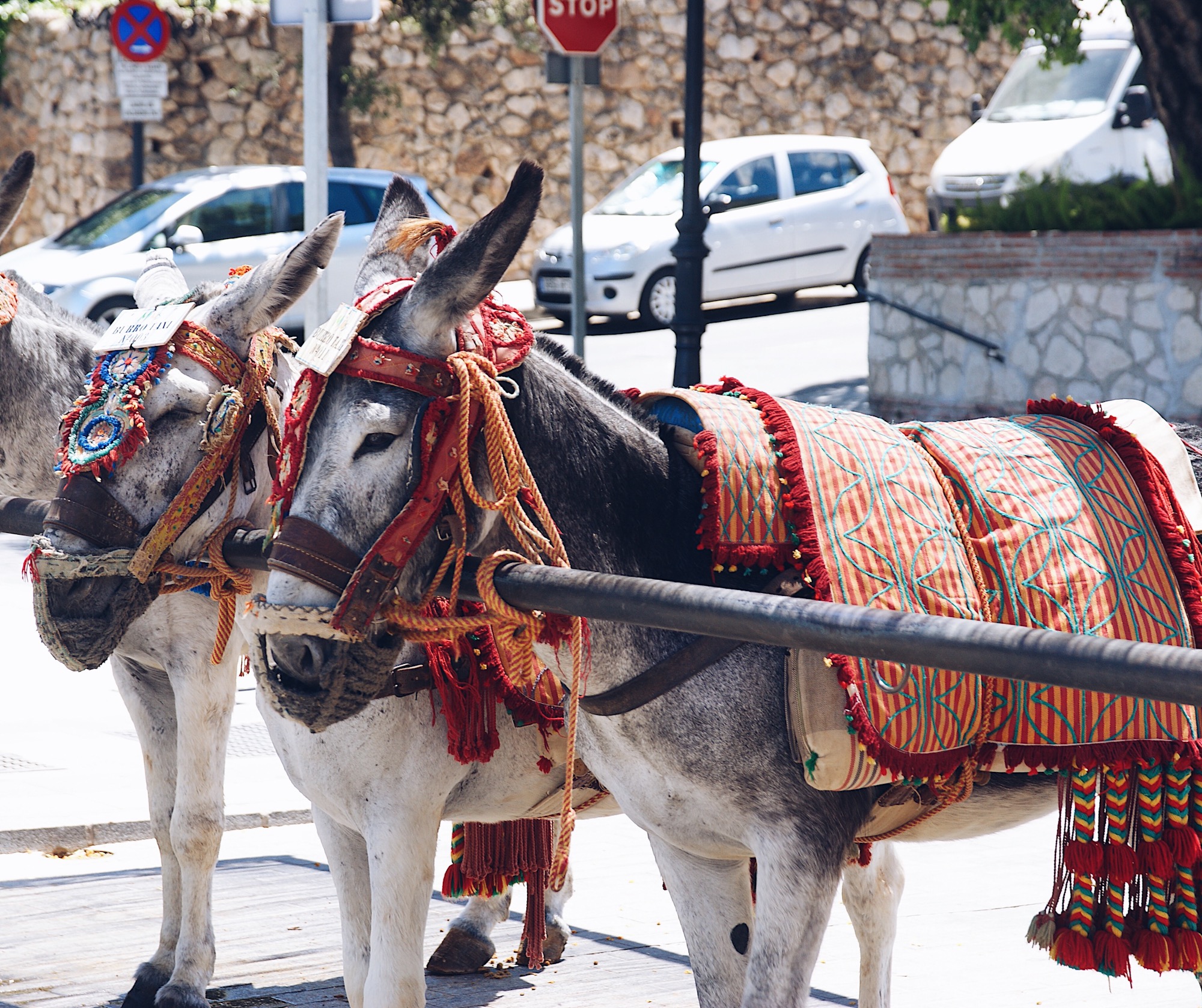 Mijas, Andalusien, Andalucia, pueblos blanco, weiße Dörfer Andalusien