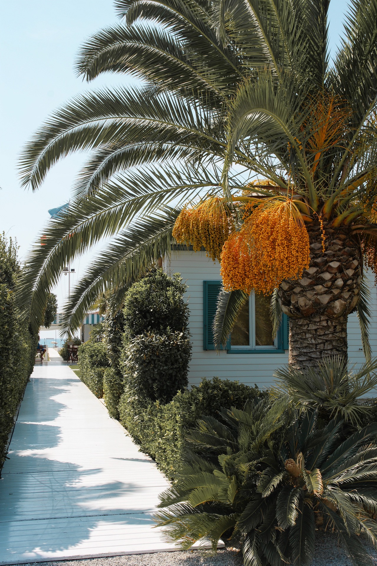 Versilia, Forte die Marmi, Massa, Lido do Camaiore, Radfahren, Ligurien, Italien, Reise, biking