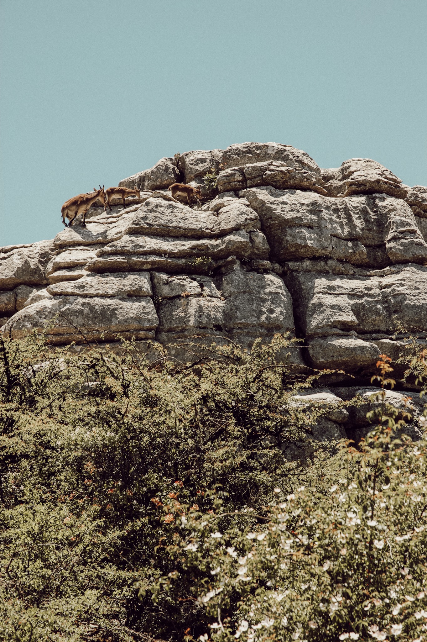 El Torcal