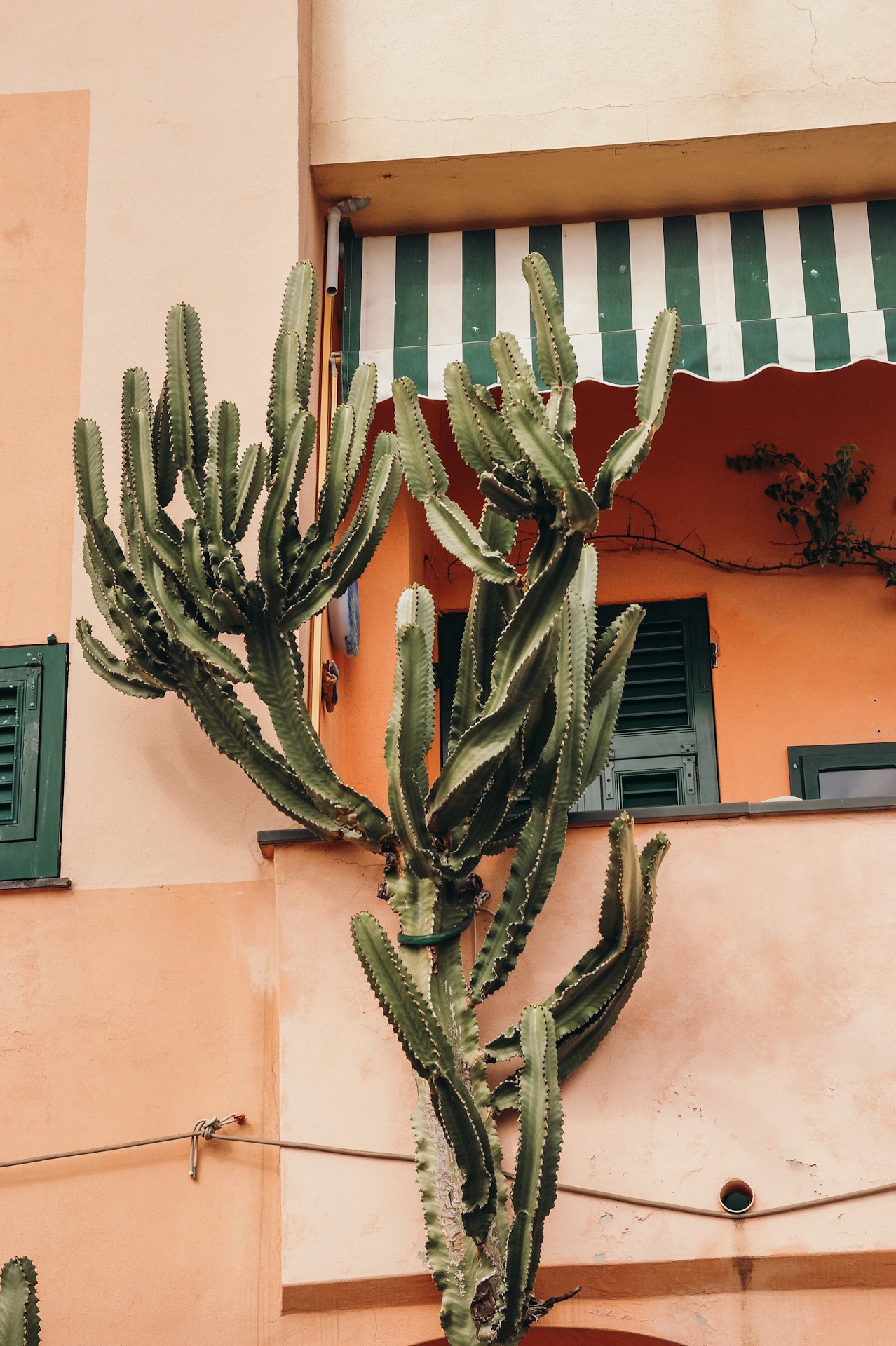 Camogli, Ligurien, Reisebericht, Italien Reise