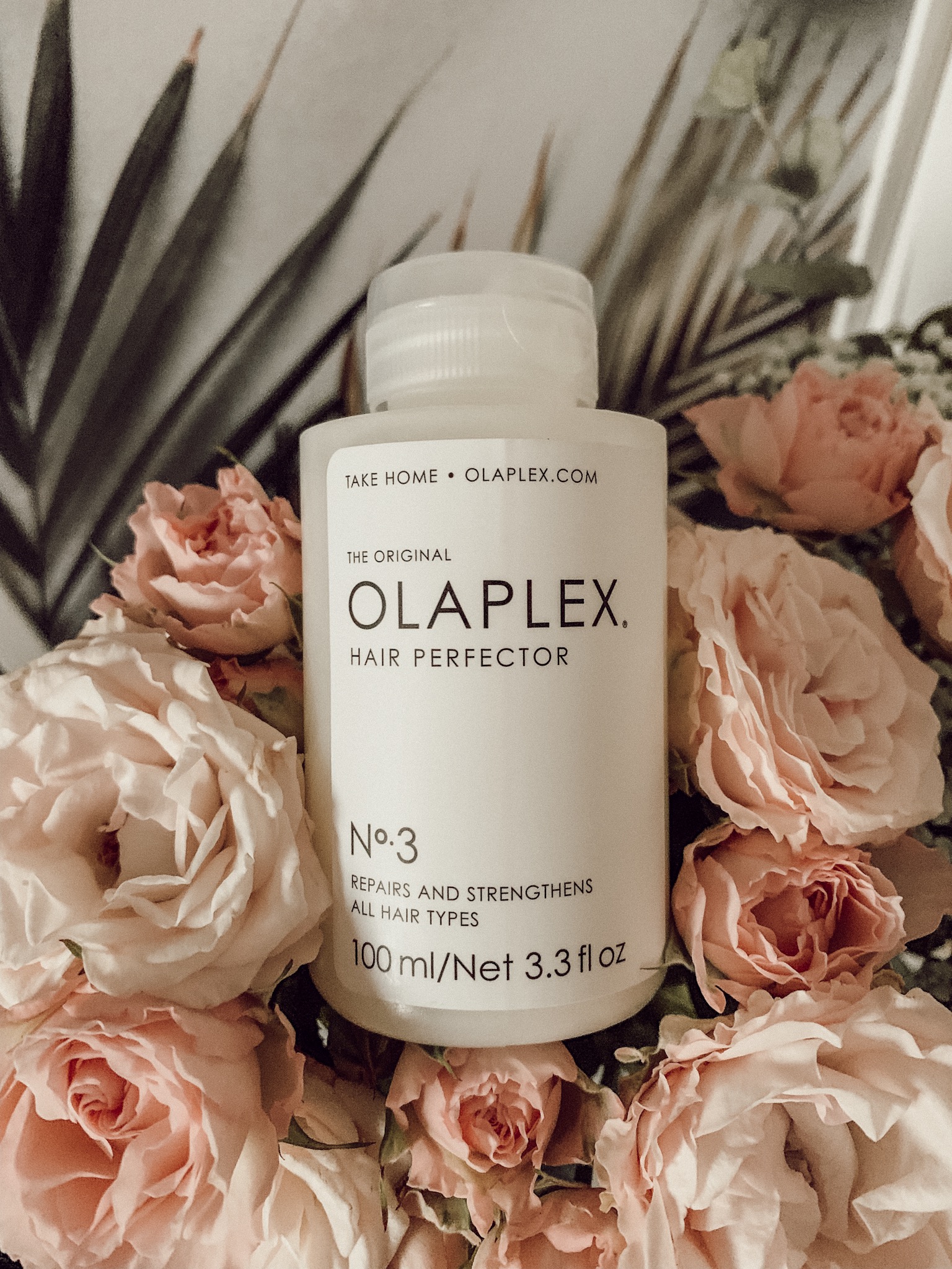 3 erfahrung olaplex Olapex No.3