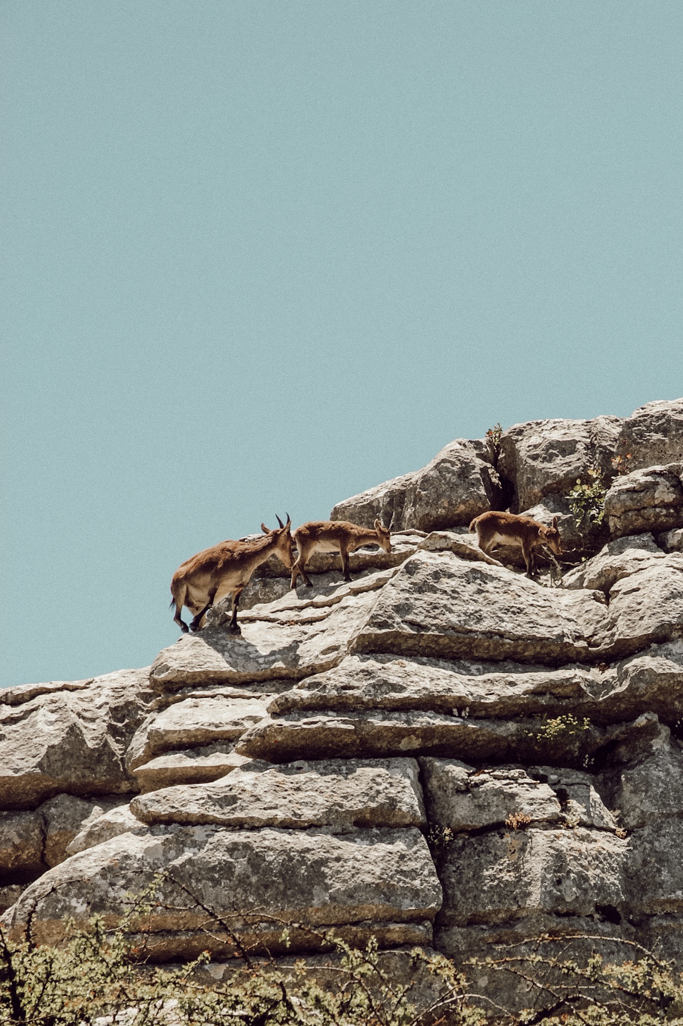 El Torcal