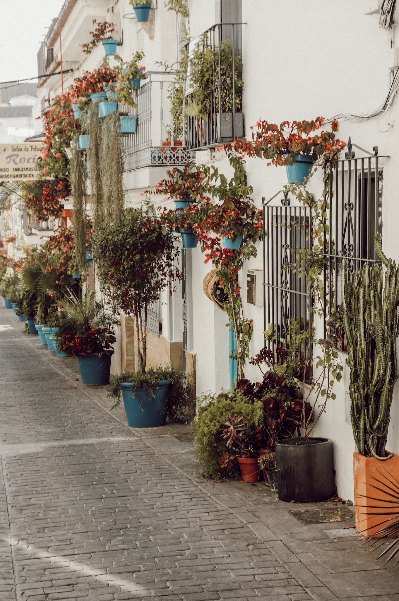 Estepona Andalusien 