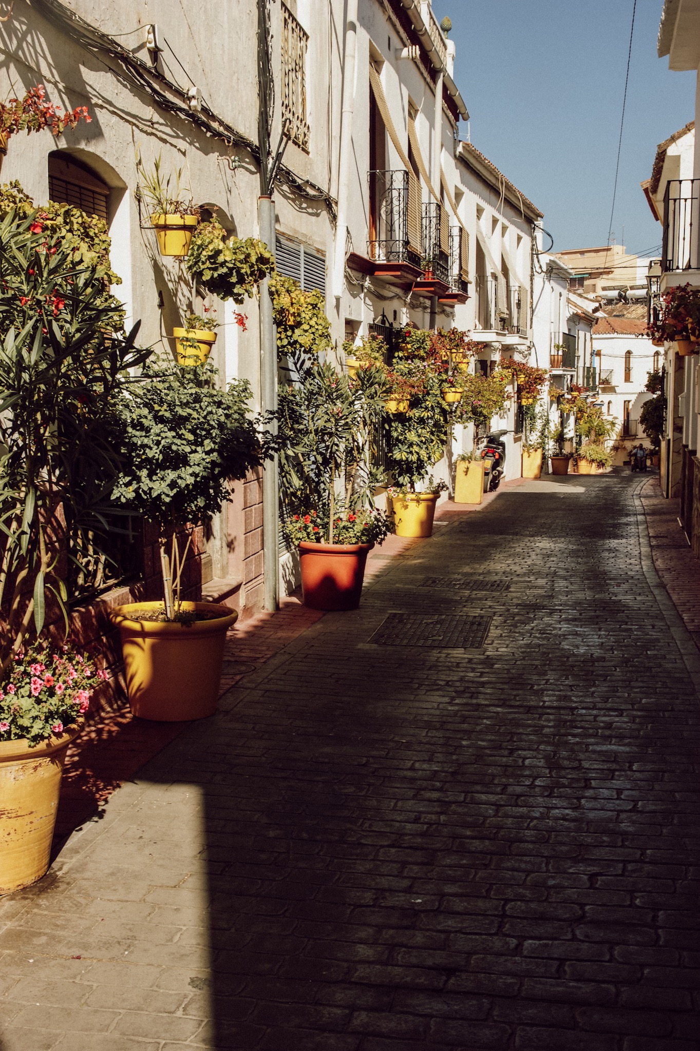 Estepona Andalusien 