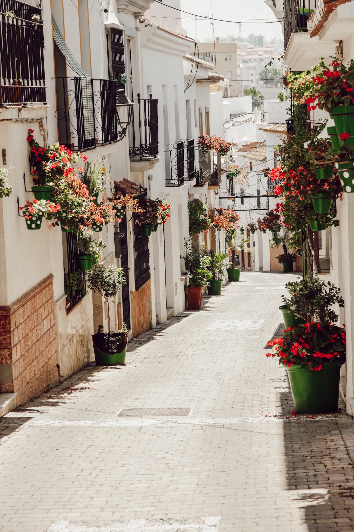 Estepona Andalusien 