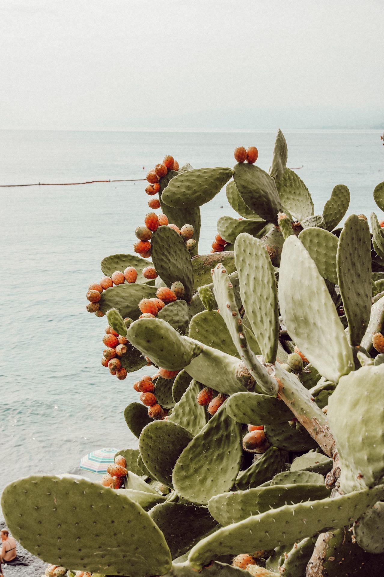 Camogli, Ligurien, Reisebericht, Italien Reise