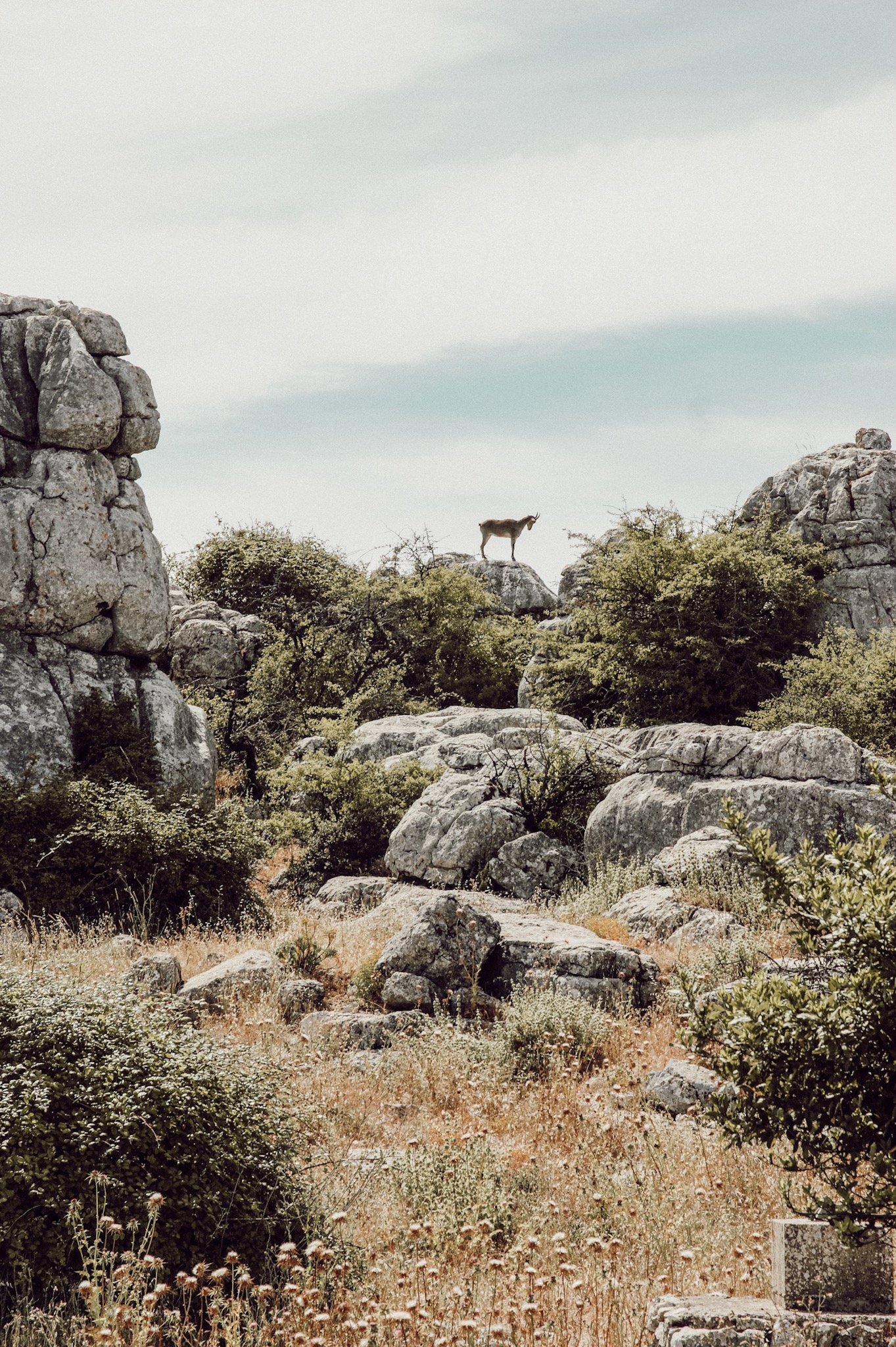 El Torcal