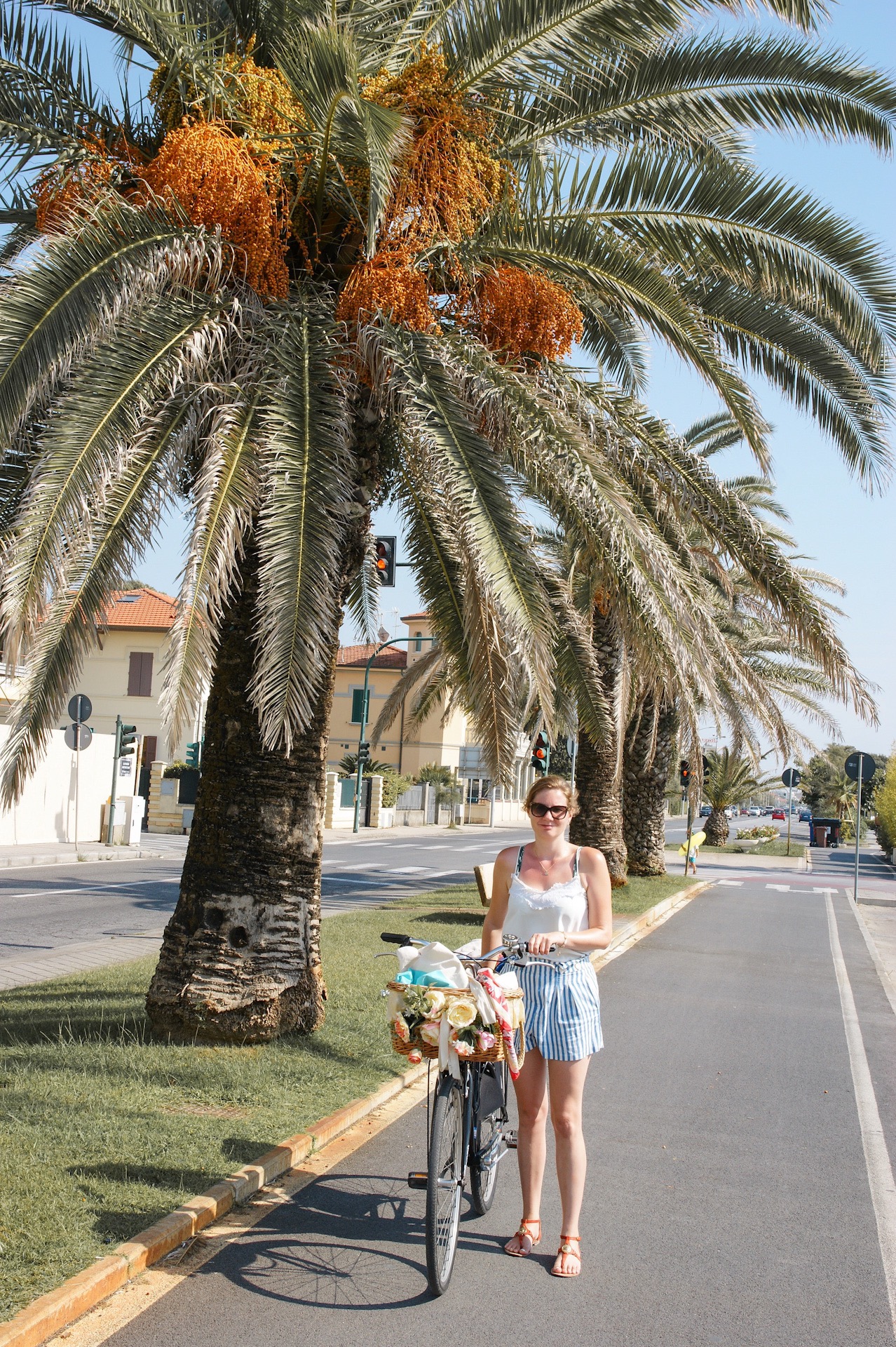 Versilia, Forte die Marmi, Massa, Lido do Camaiore, Radfahren, Ligurien, Italien, Reise, biking