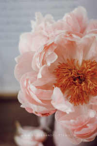 Peonies Wallpaper