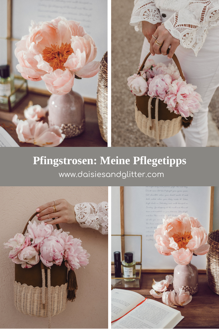 Pfingstrosen in der Vase