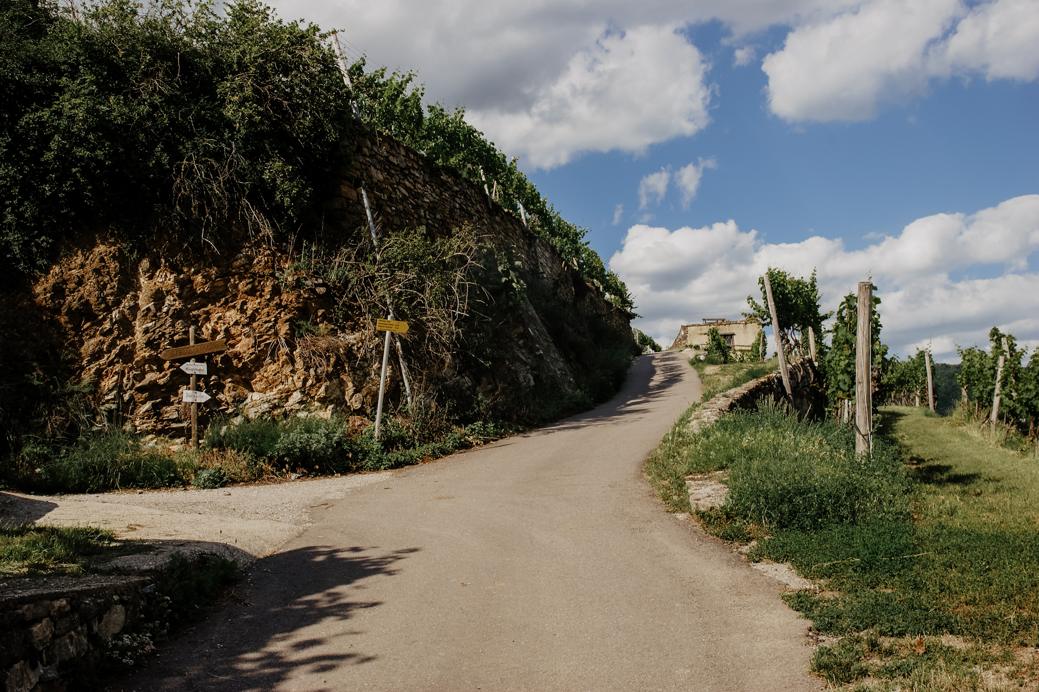 Wachau: Wanderung zum Aussichtspunkt in der Nähe der Kügerlwand