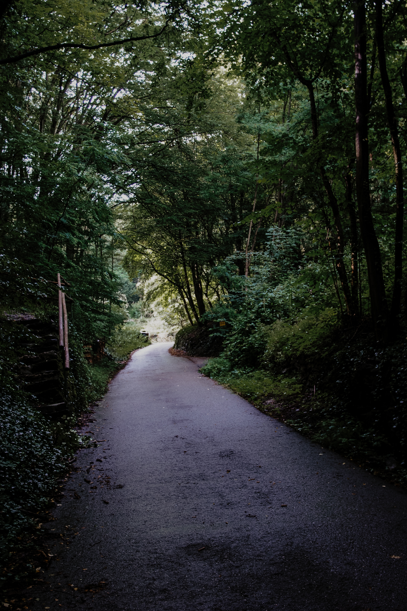 Wachau Wanderung