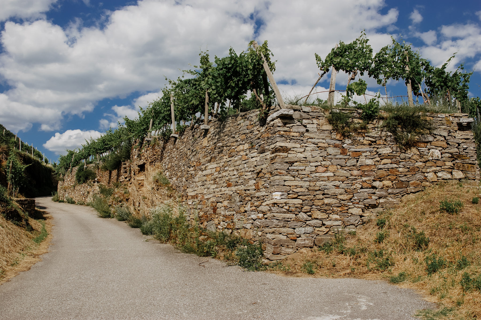 Wachau: Wanderung zum Aussichtspunkt in der Nähe der Kügerlwand