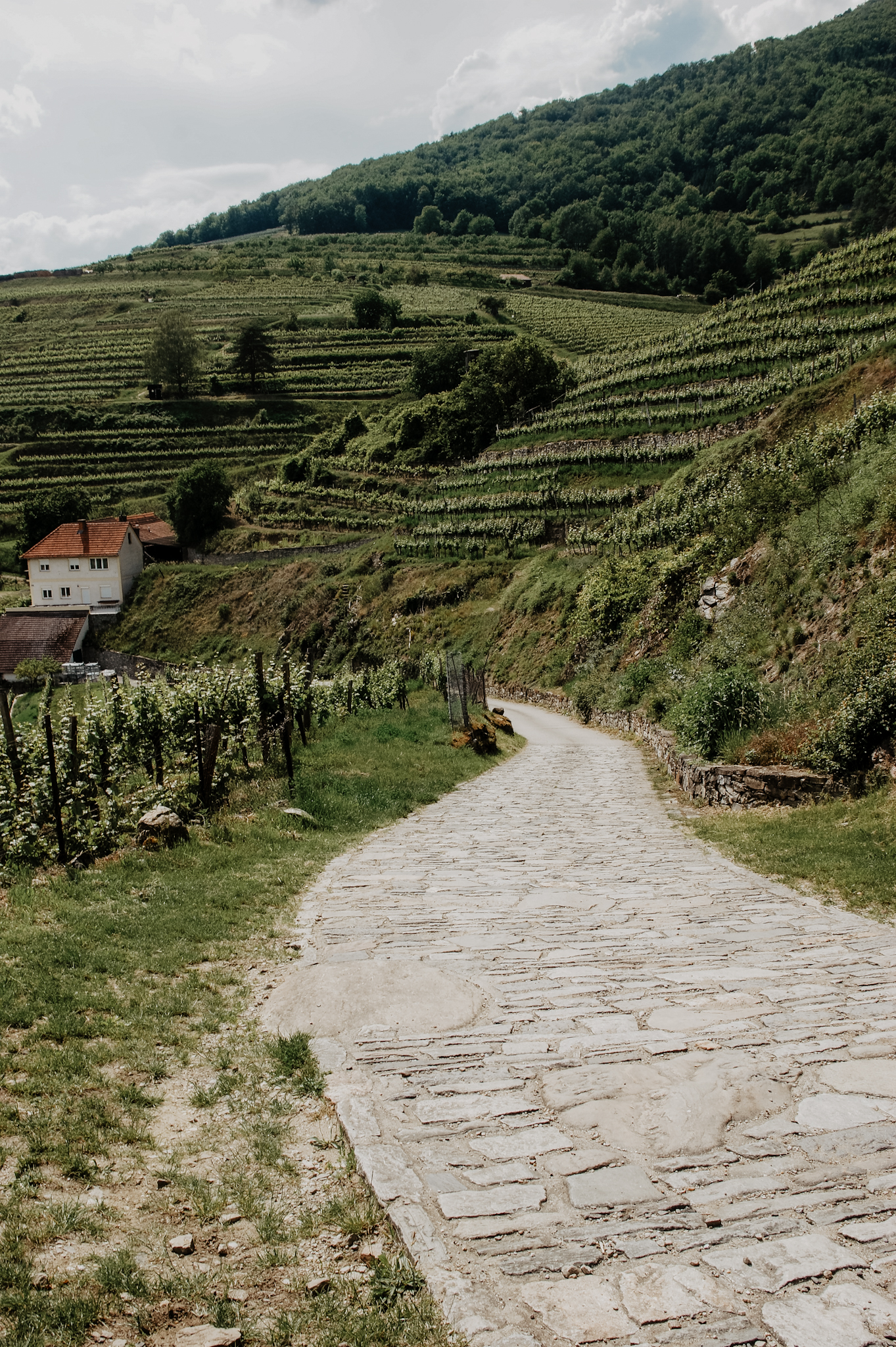 Wachau Spitz Wanderung Rotes Tor