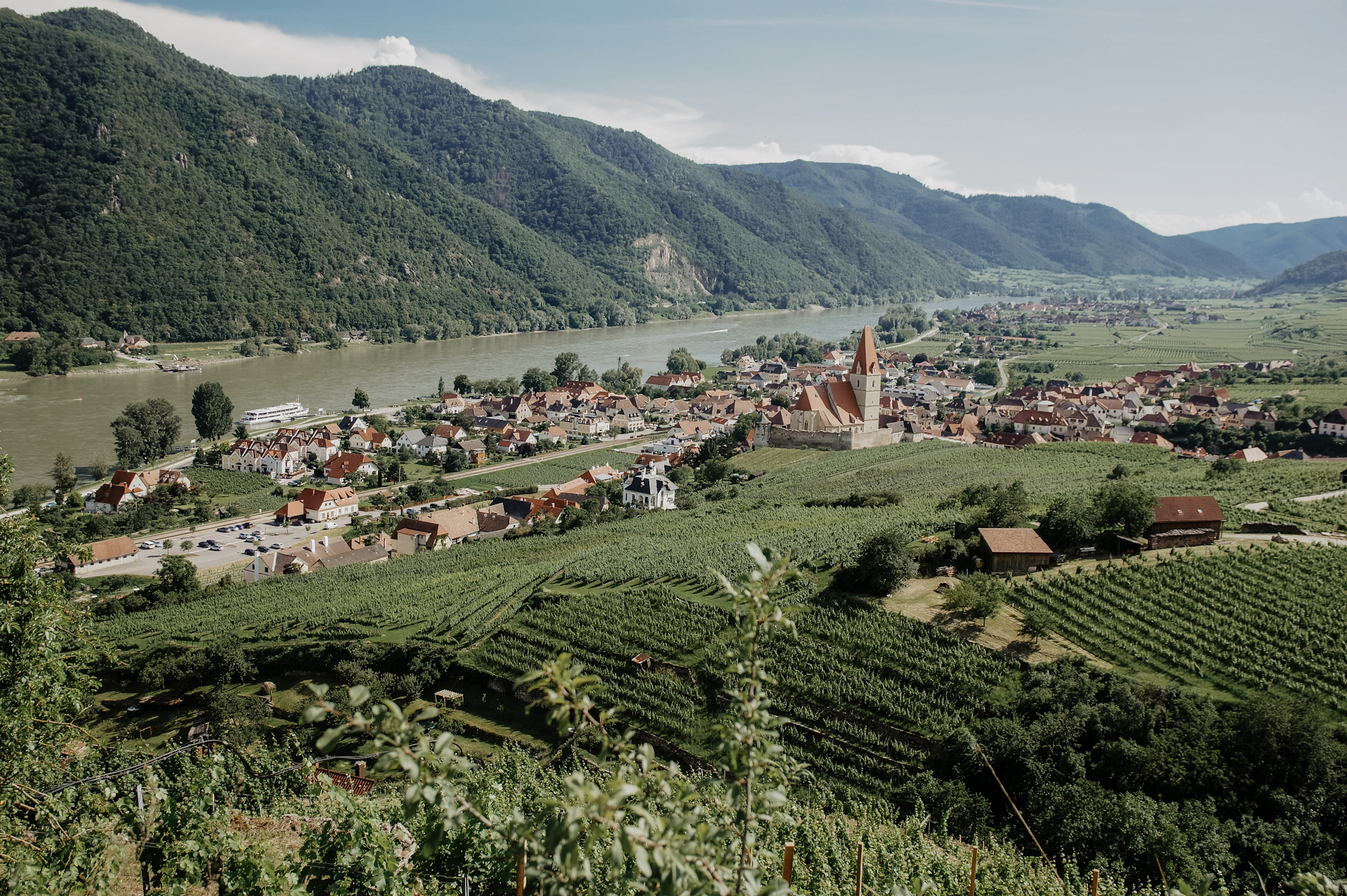 Wachau: Wanderung zum Aussichtspunkt in der Nähe der Kügerlwand