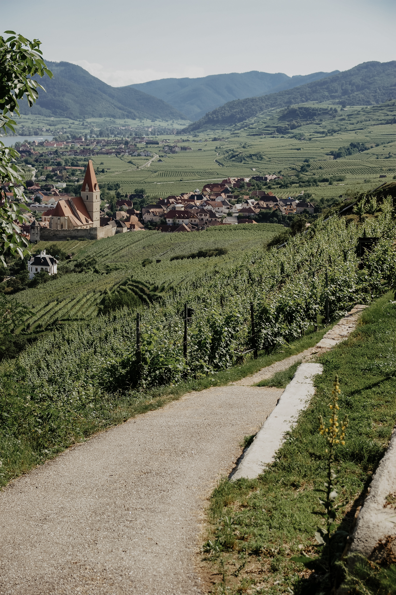 Wachau: Wanderung zum Aussichtspunkt in der Nähe der Kügerlwand