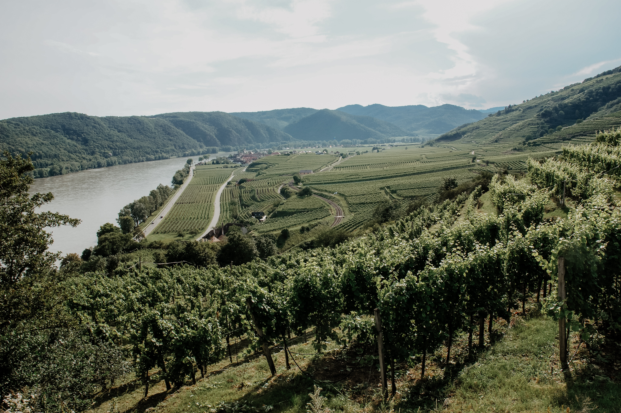 Wachau Wanderung