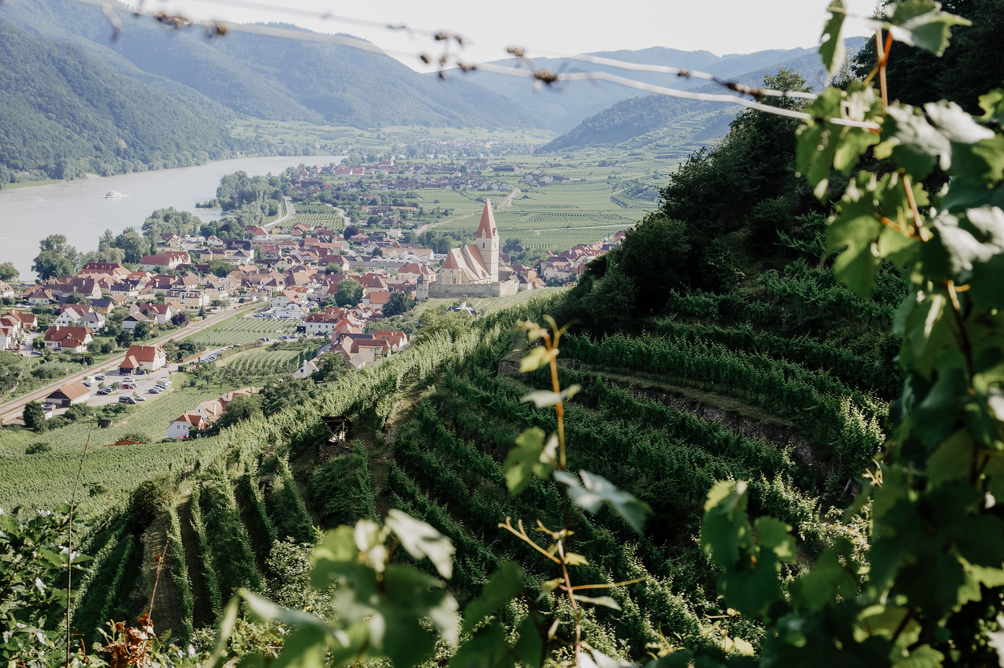 Wachau: Wanderung zum Aussichtspunkt in der Nähe der Kügerlwand