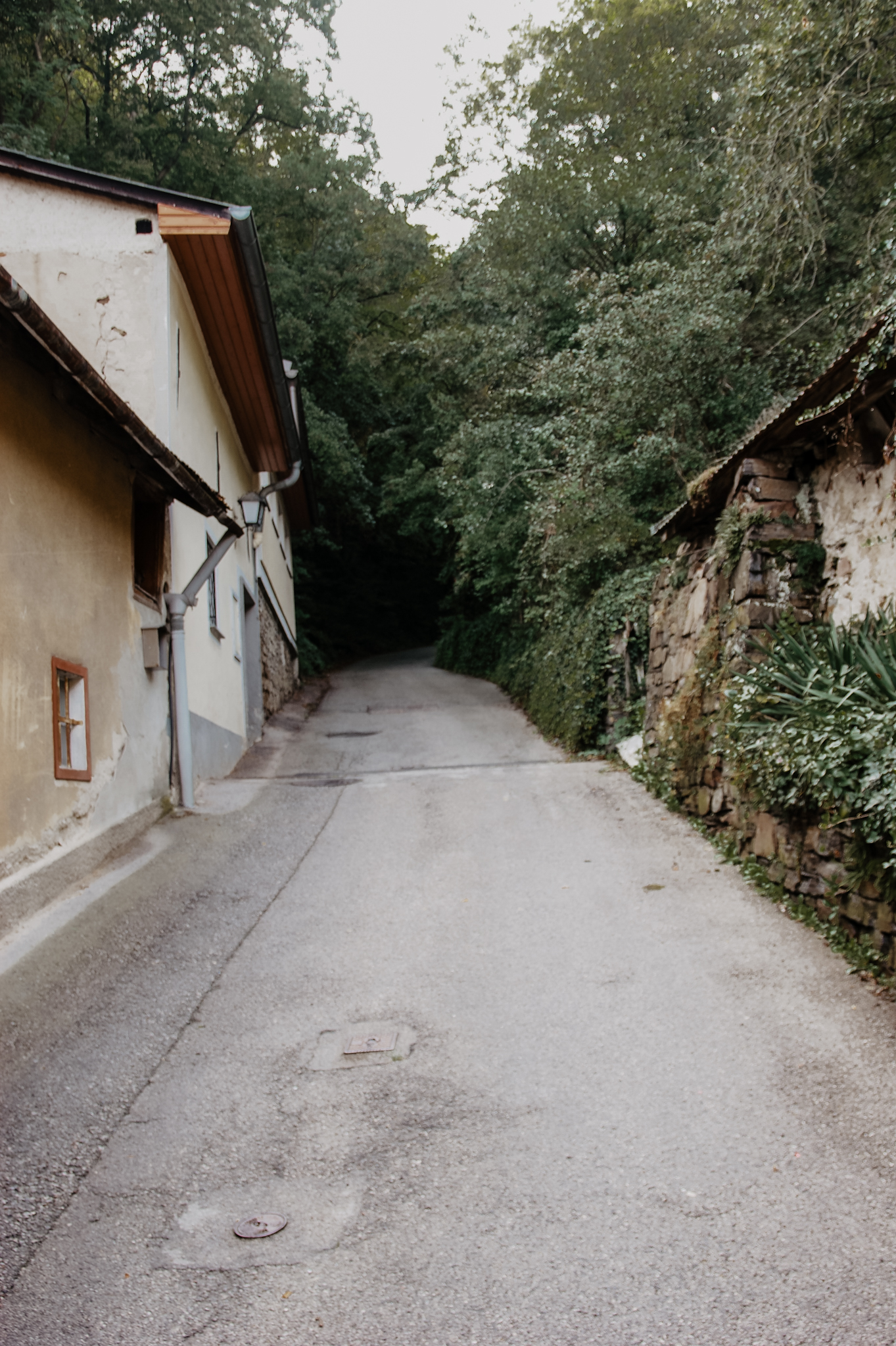 Wachau Wanderung