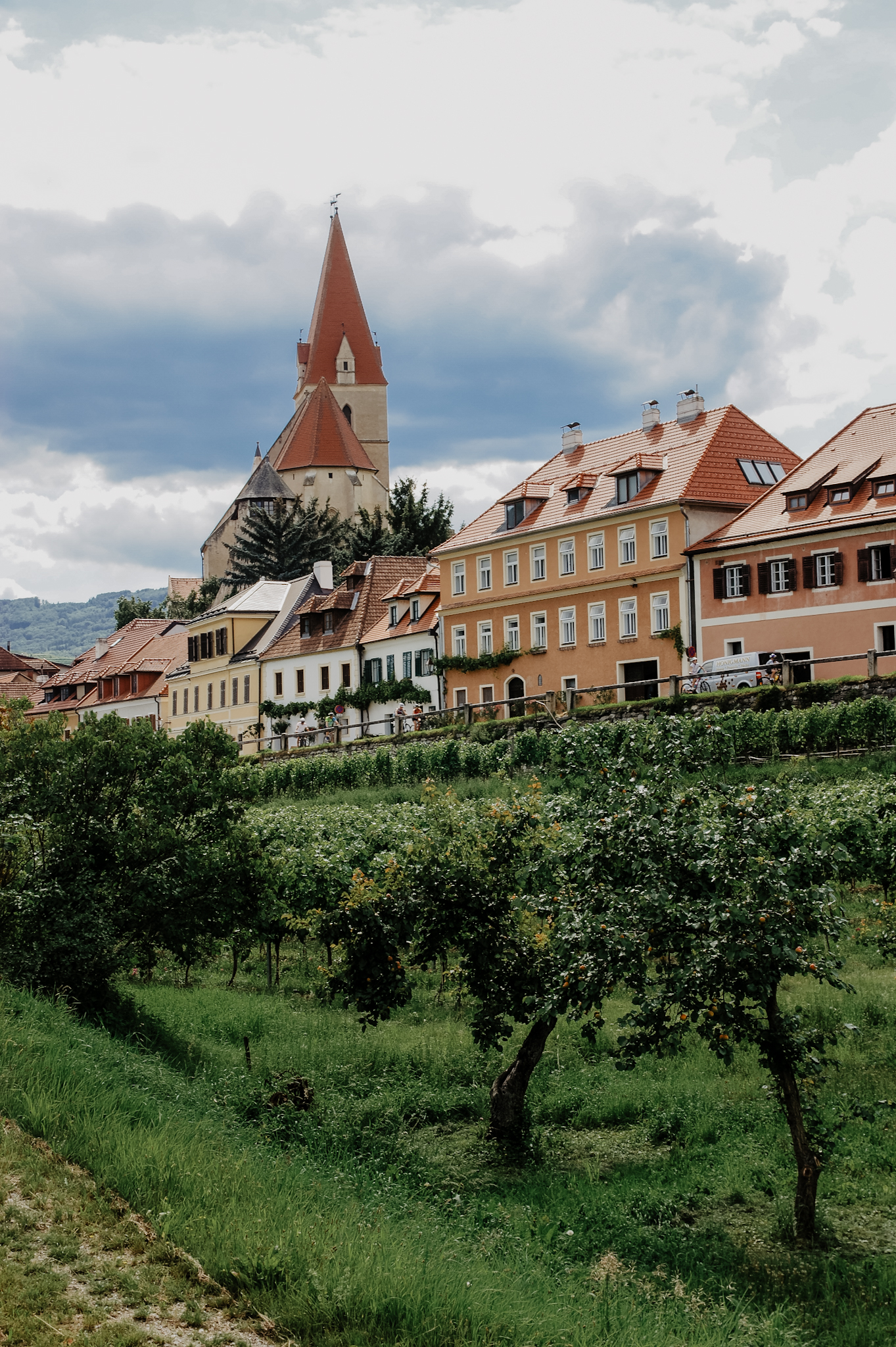 Wachau: Wanderung zum Aussichtspunkt in der Nähe der Kügerlwand