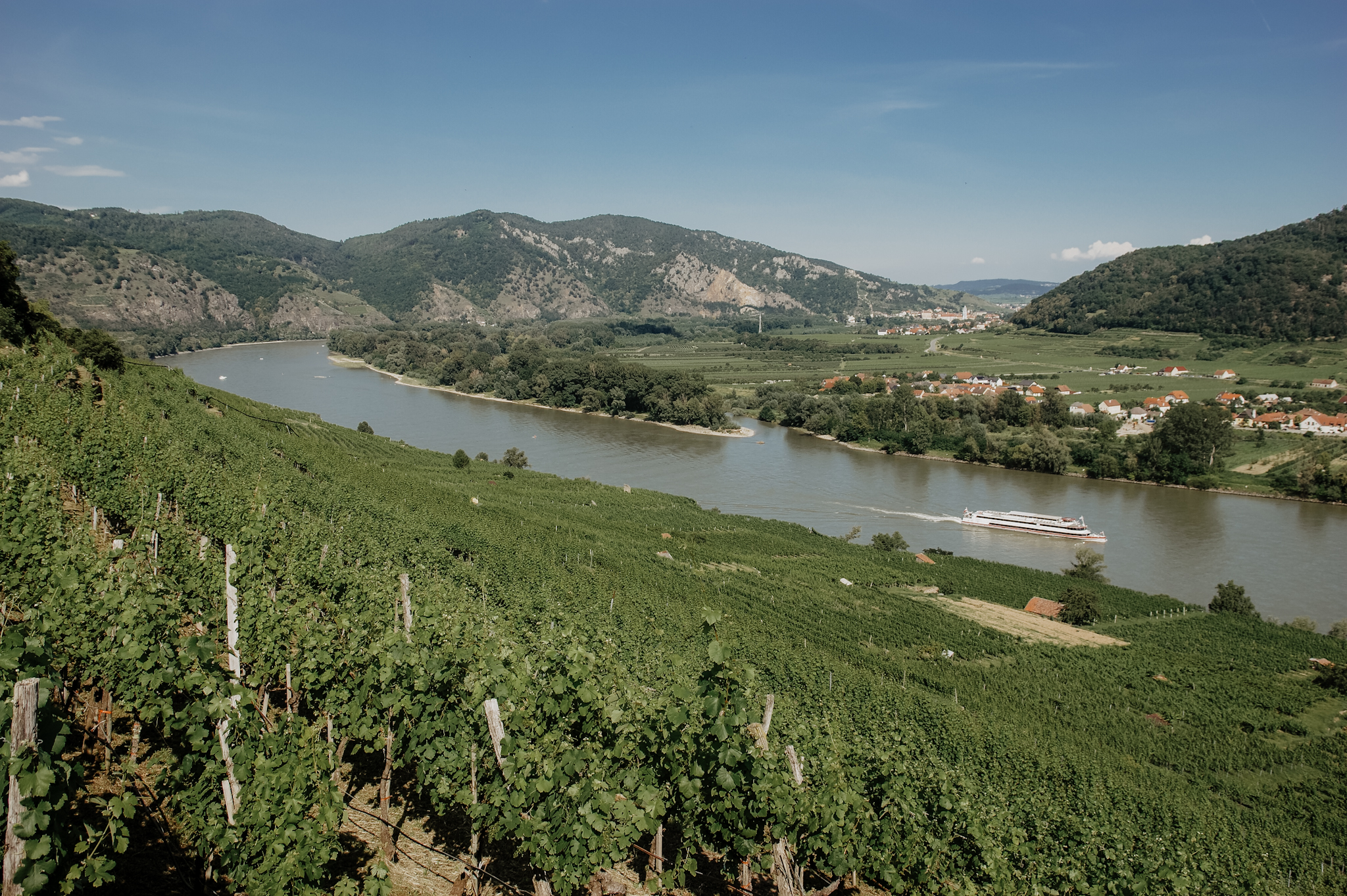 Wachau: Wanderung zum Aussichtspunkt in der Nähe der Kügerlwand