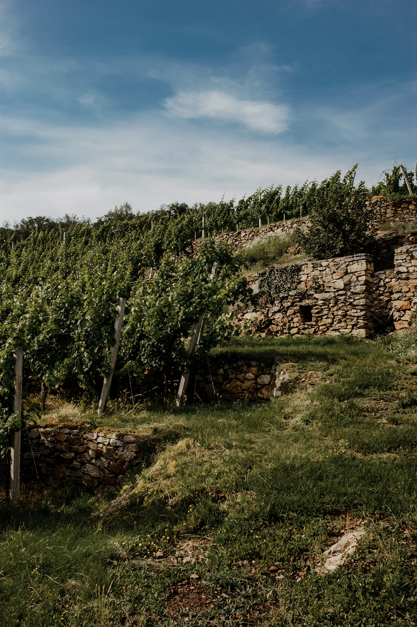 Wachau Wanderung