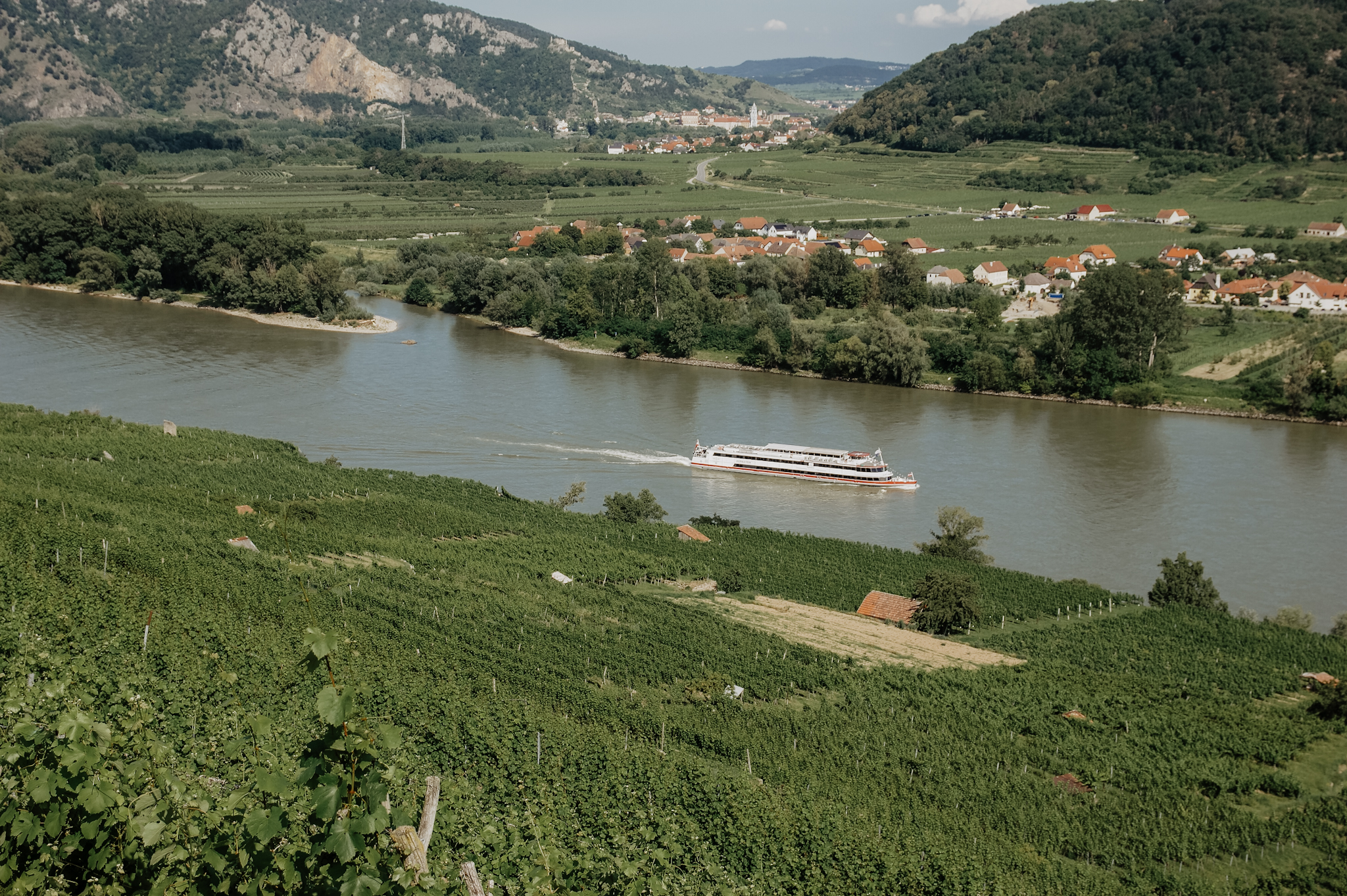 Wachau: Wanderung zum Aussichtspunkt in der Nähe der Kügerlwand