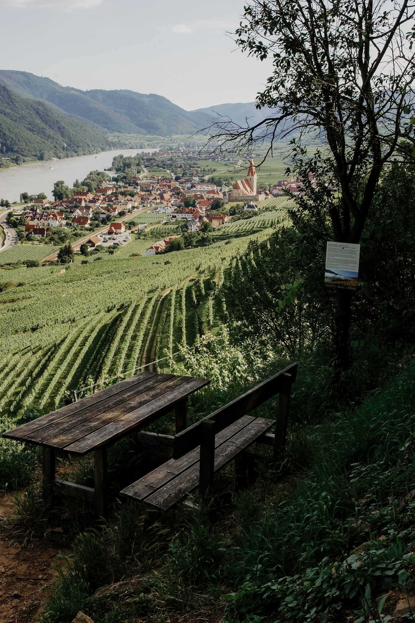 Wachau: Wanderung zum Aussichtspunkt in der Nähe der Kügerlwand