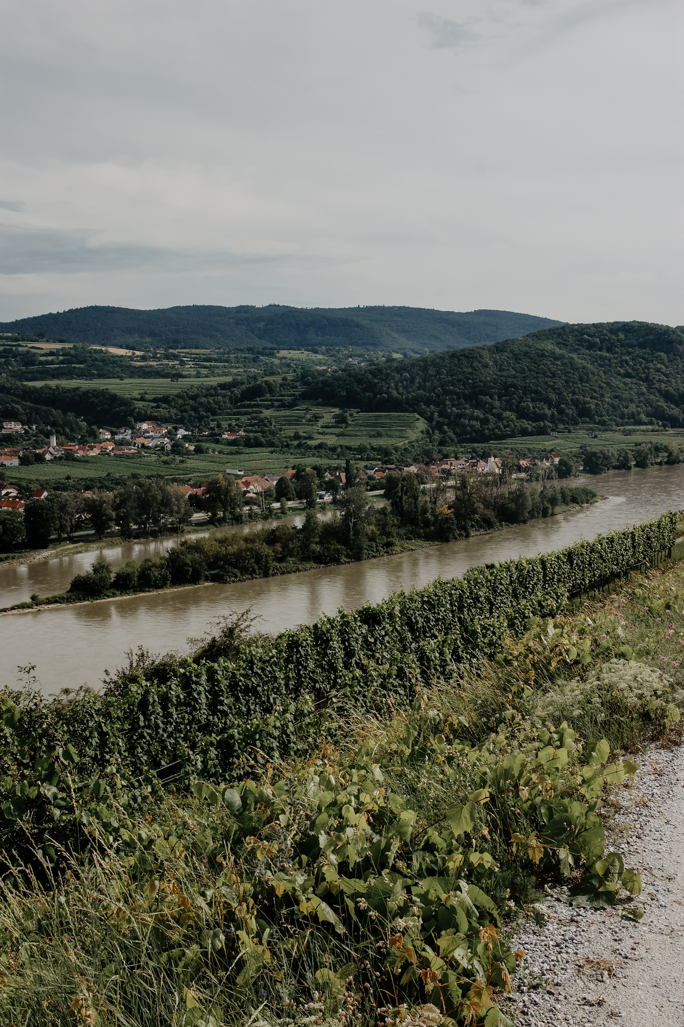 Wachau Wanderung