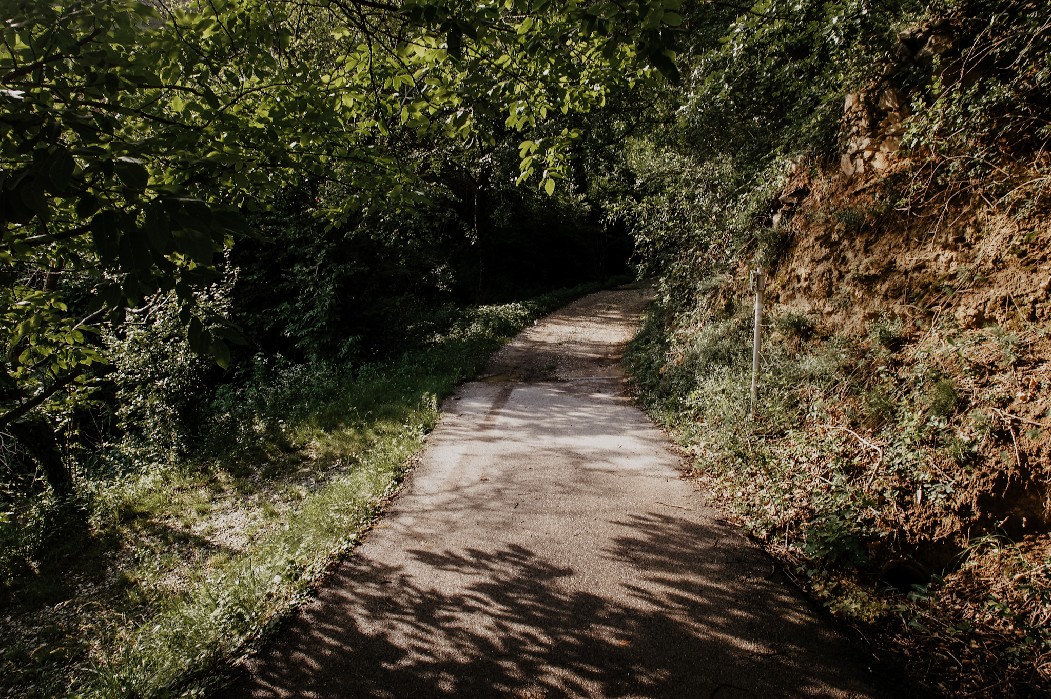 Wachau Wanderung