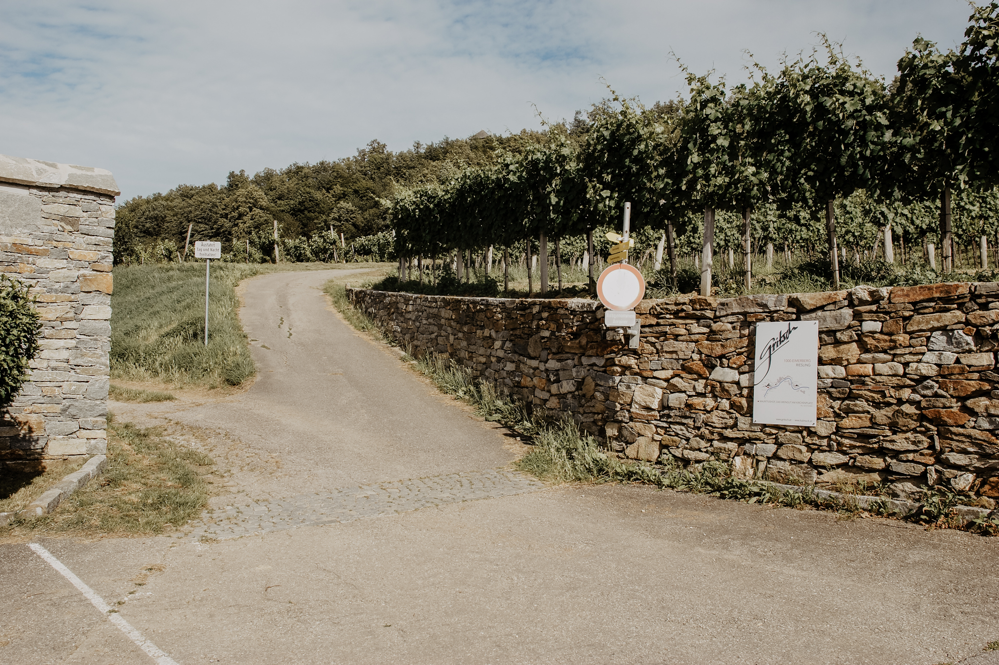 Wachau Wanderung Tausendeimerberg