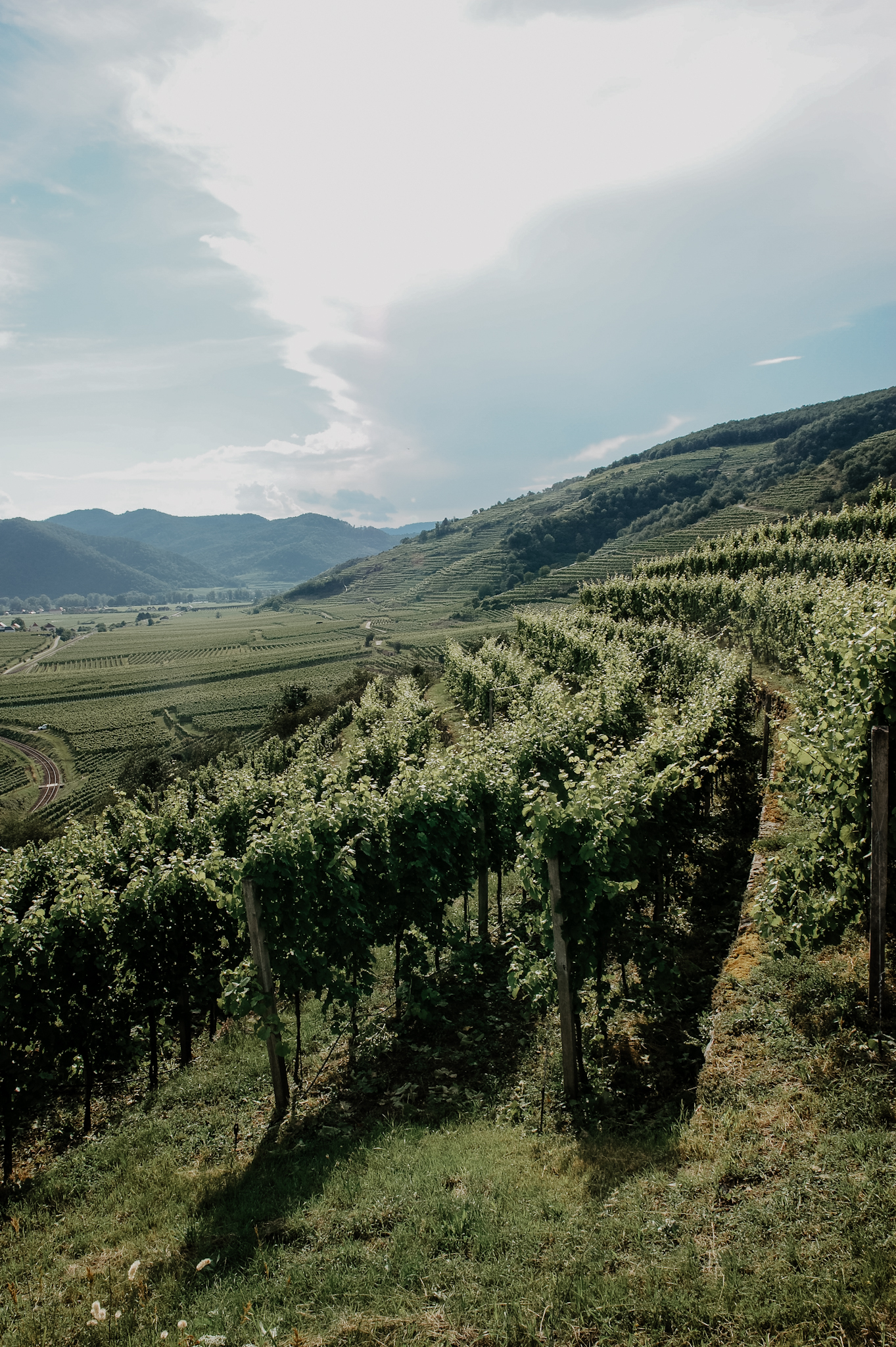 Wachau Wanderung