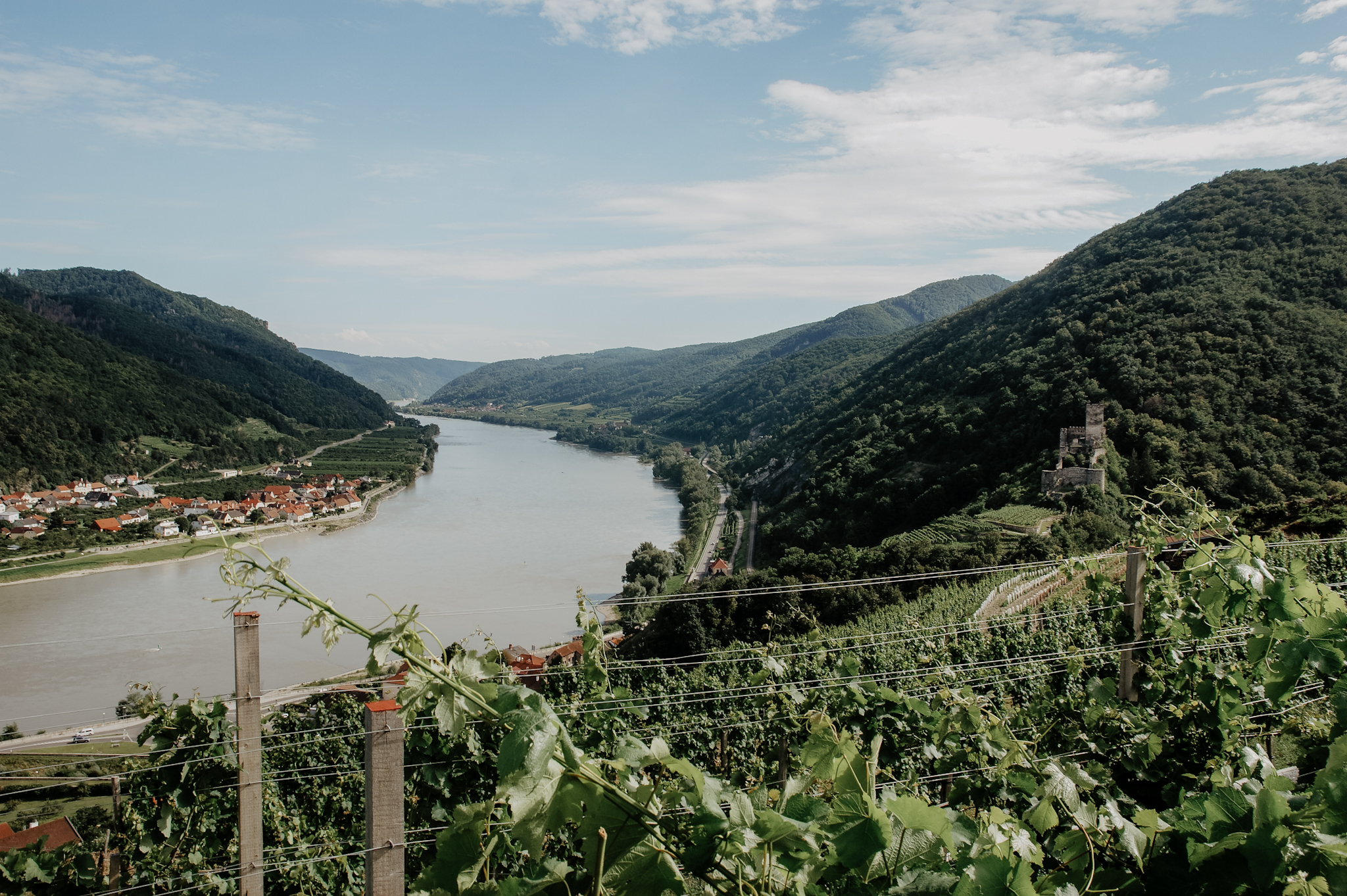 Wachau Wanderung Tausendeimerberg