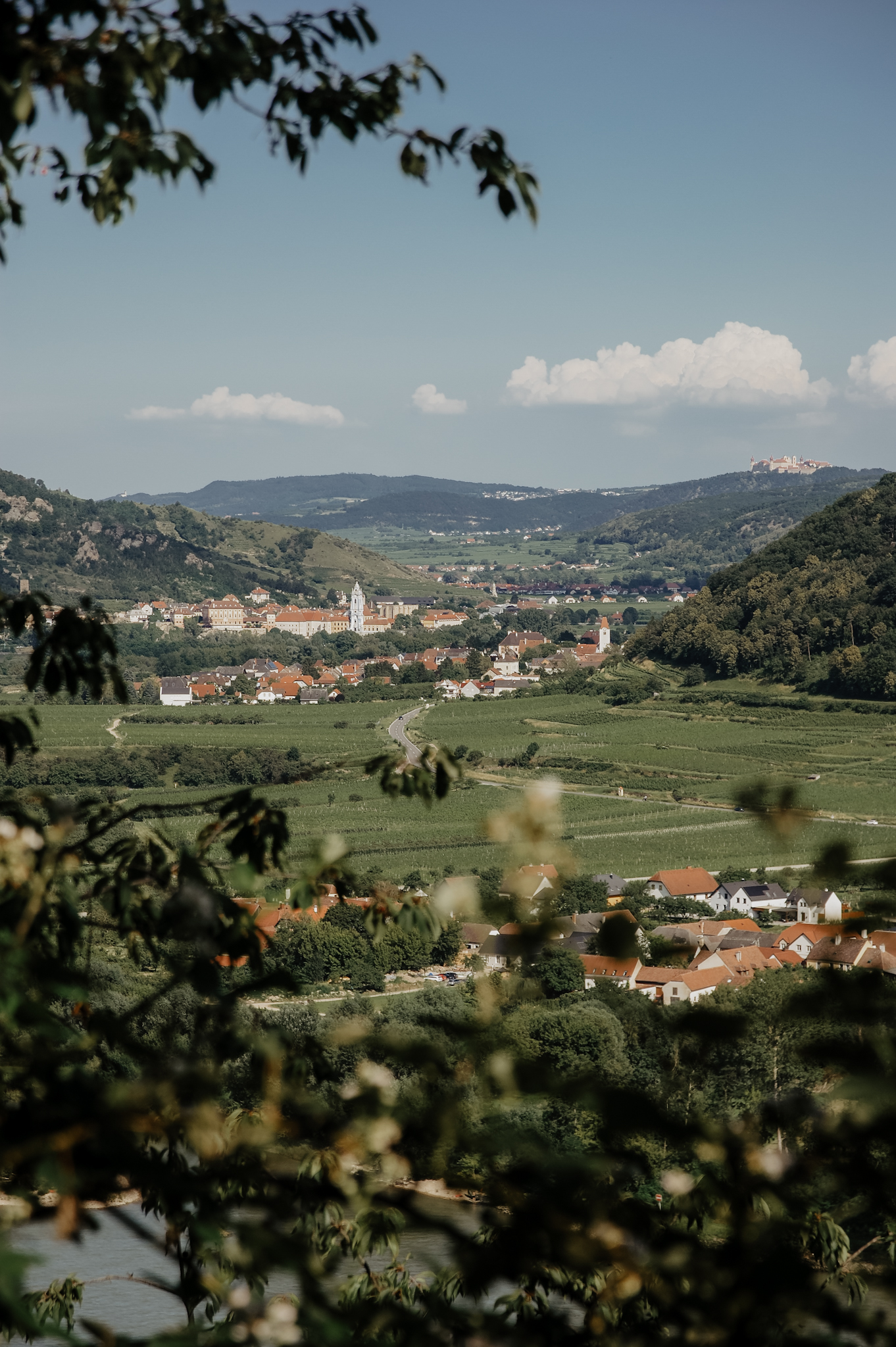 Wachau: Wanderung zum Aussichtspunkt in der Nähe der Kügerlwand