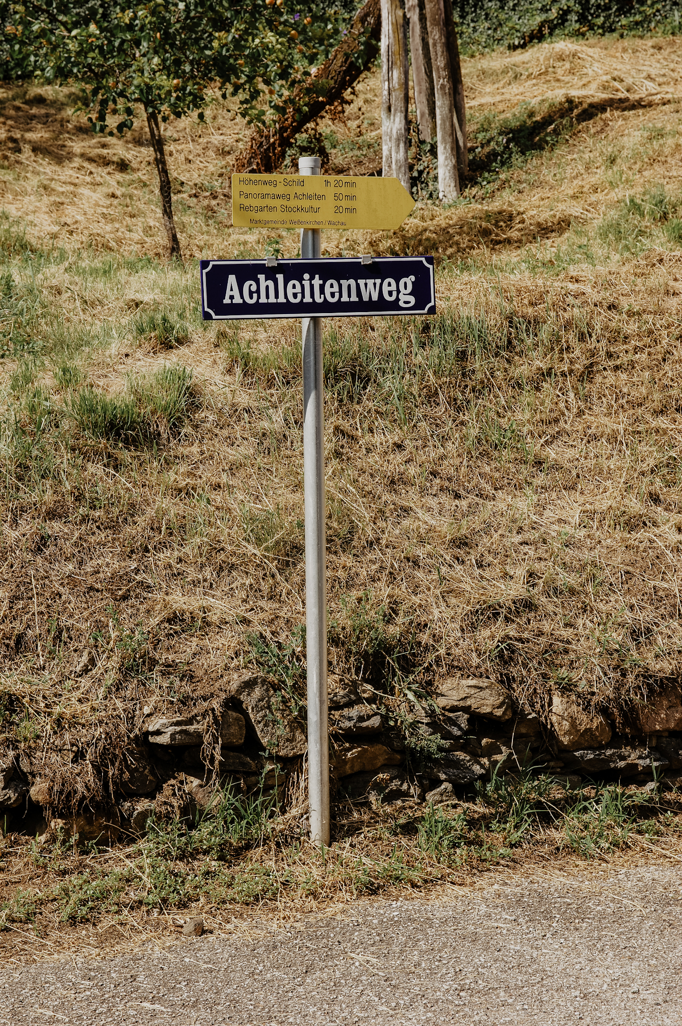 Wachau: Wanderung zum Aussichtspunkt in der Nähe der Kügerlwand