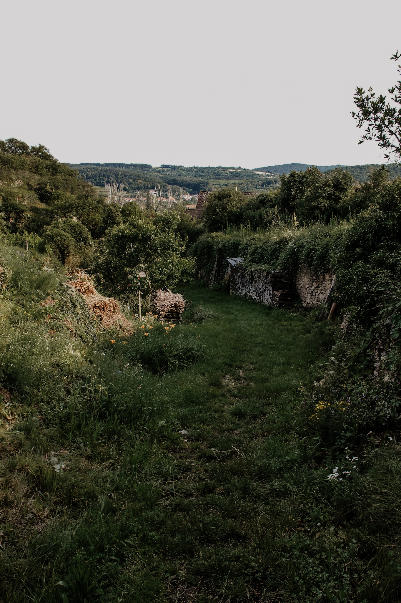 Wachau Wanderung