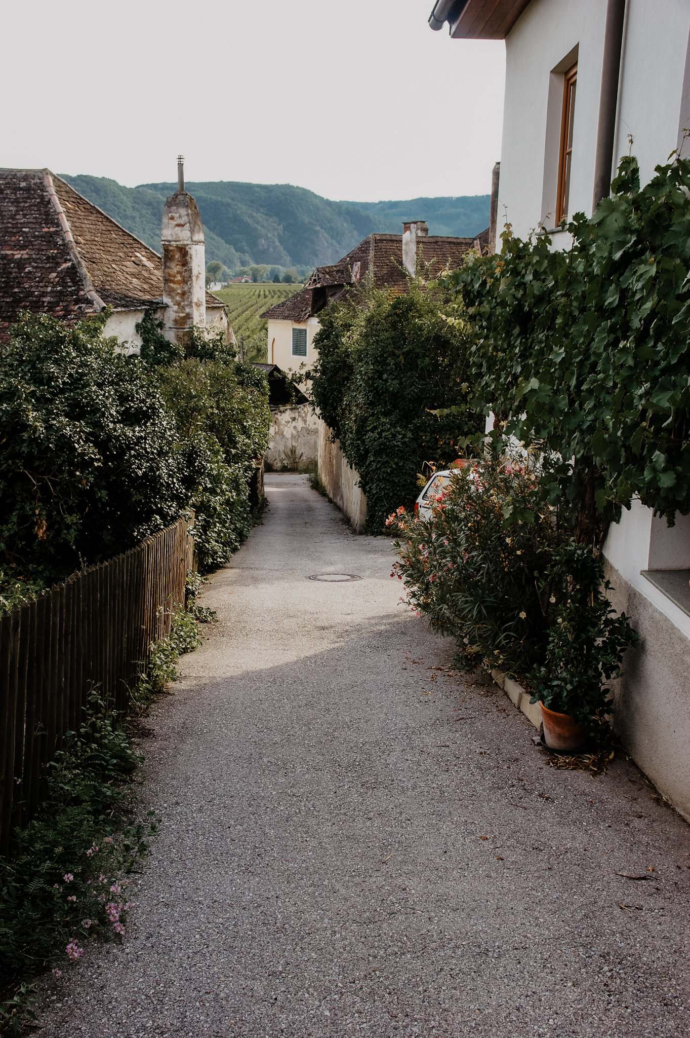 Wachau Wanderung