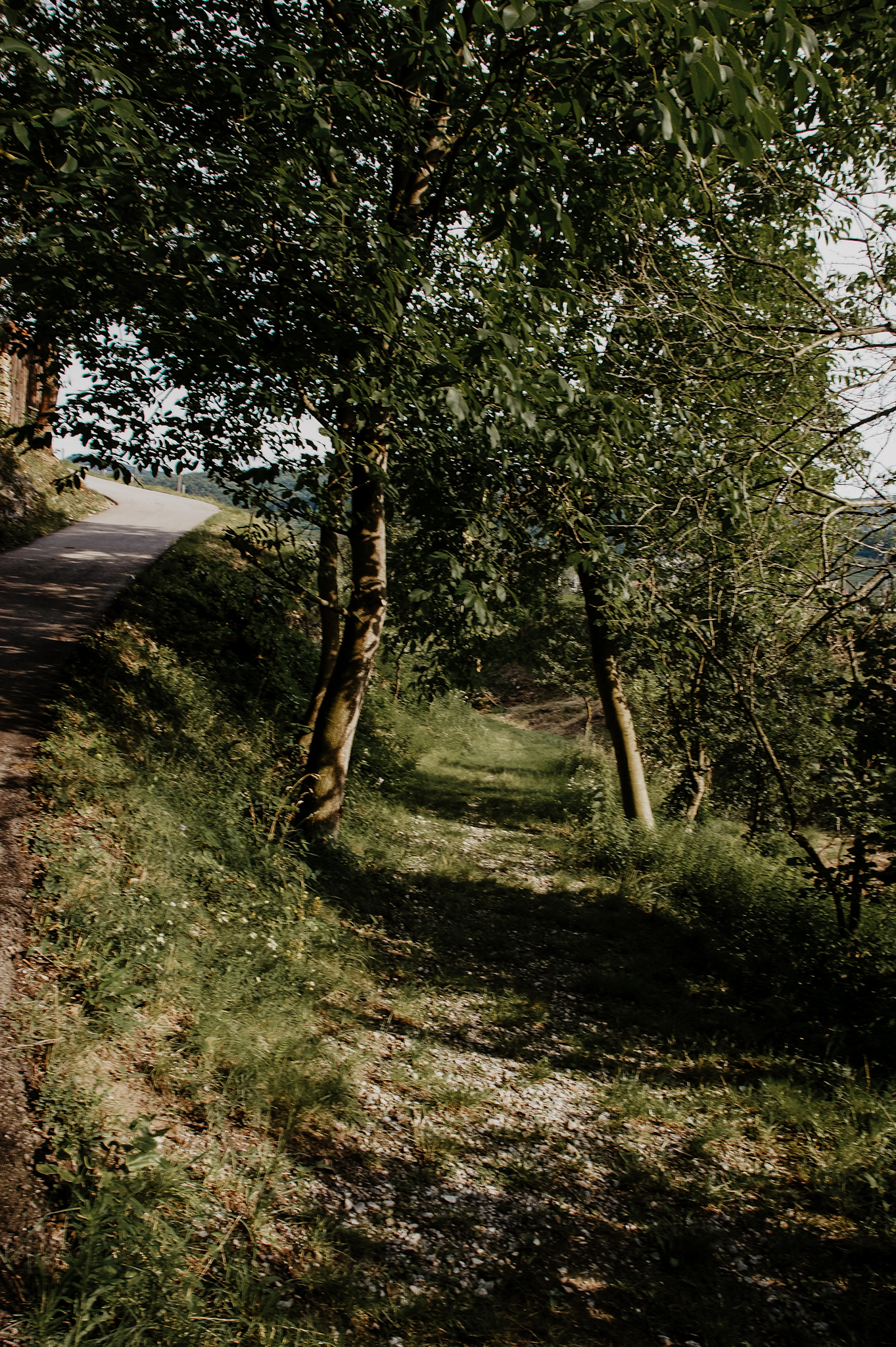 Wachau Wanderung